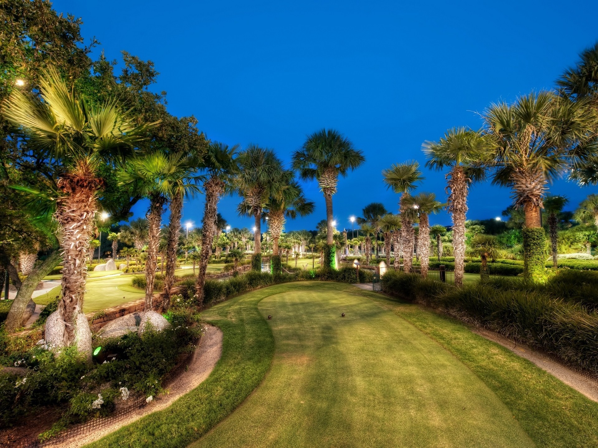 Mini golf course with palm trees at night HD Wallpaper