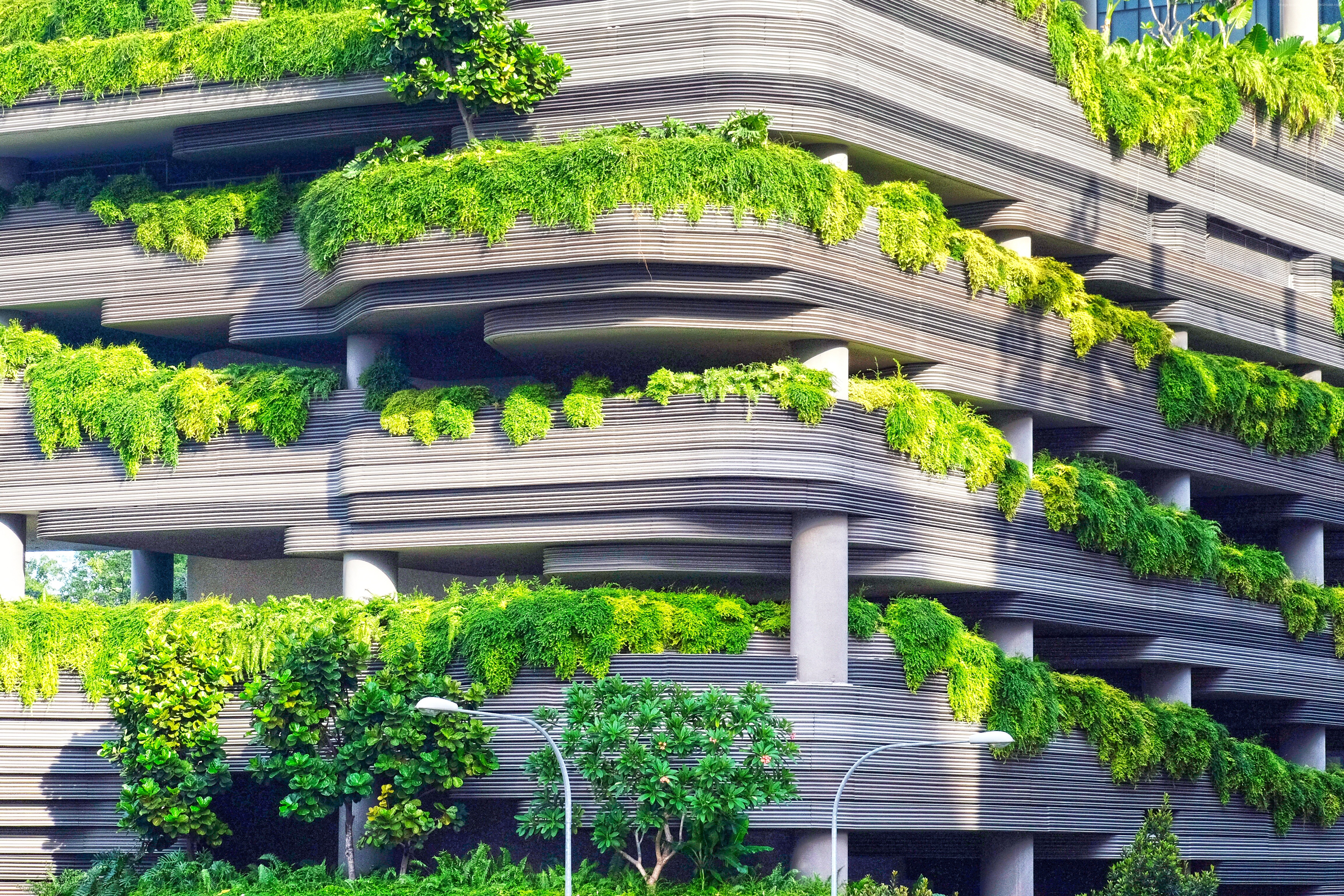 Building with cascading greenery and trees HD Wallpaper