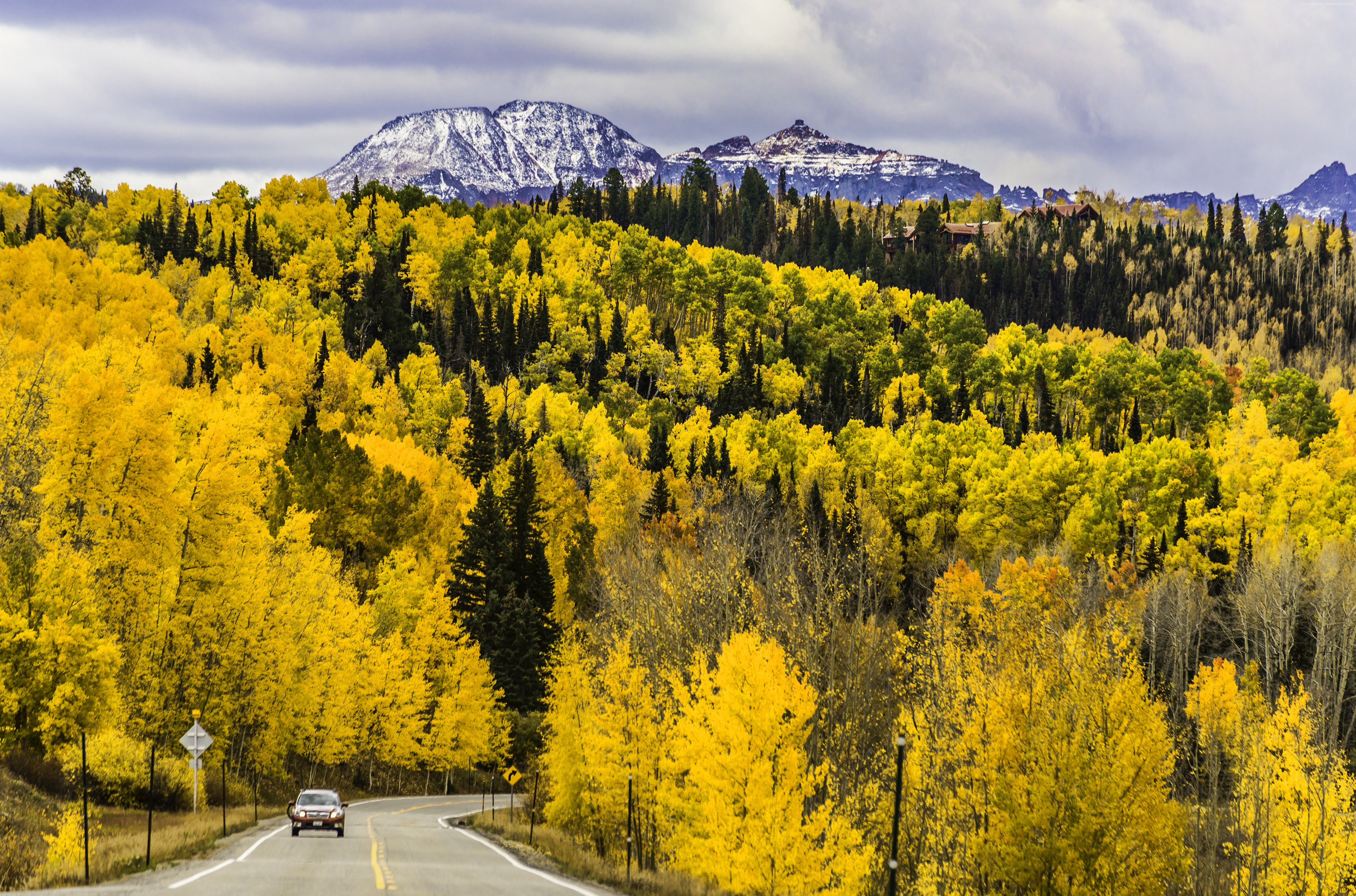 Autumn Road through Yellow Aspen Forest in Colorado Mountains HD Wallpaper