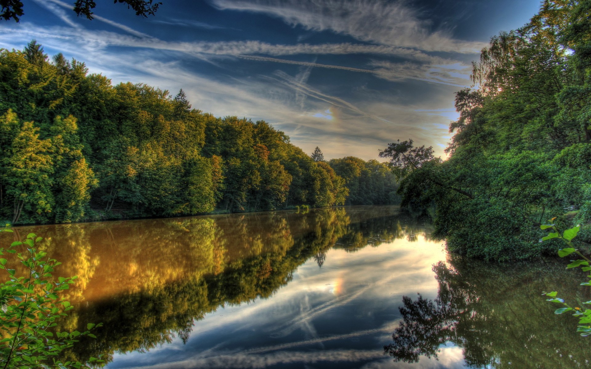 Forest reflecting in a calm lake under a cloudy sky HD Wallpaper