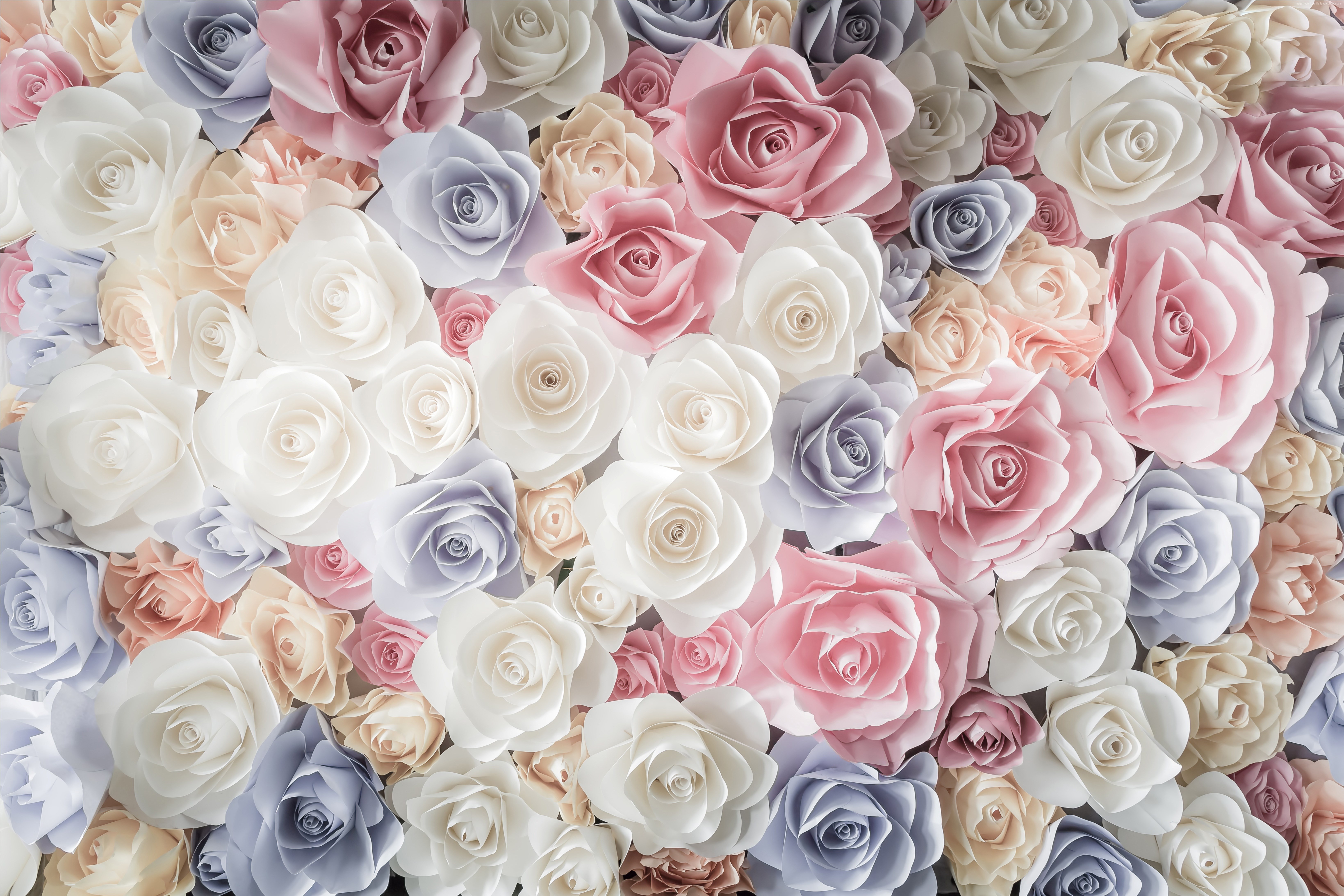 Paper roses in pastel colors HD Wallpaper