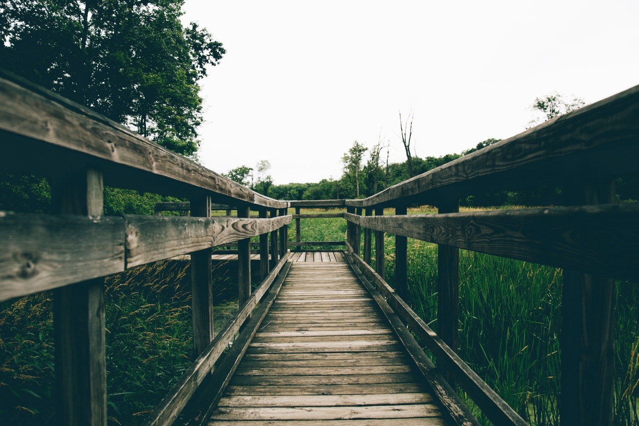 Wooden boardwalk through a marshy landscape HD Wallpaper