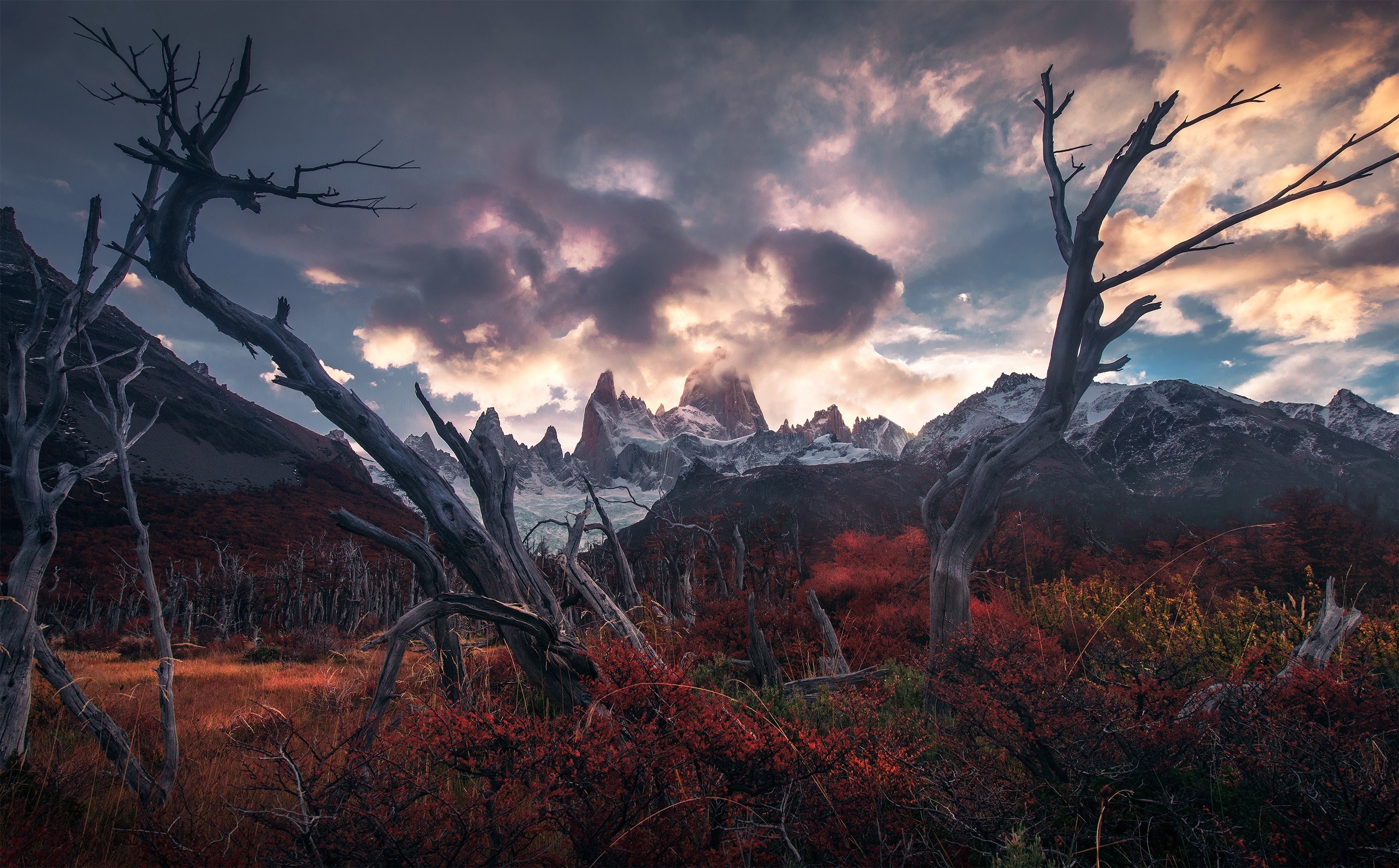 Dead trees in front of Fitz Roy mountain range at sunset HD Wallpaper
