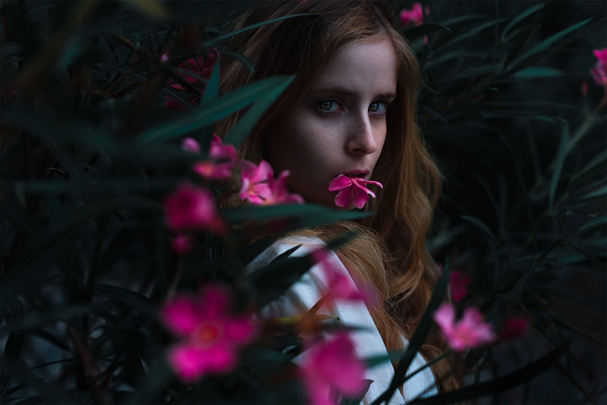 Woman with pink flower in her mouth surrounded by foliage HD Wallpaper