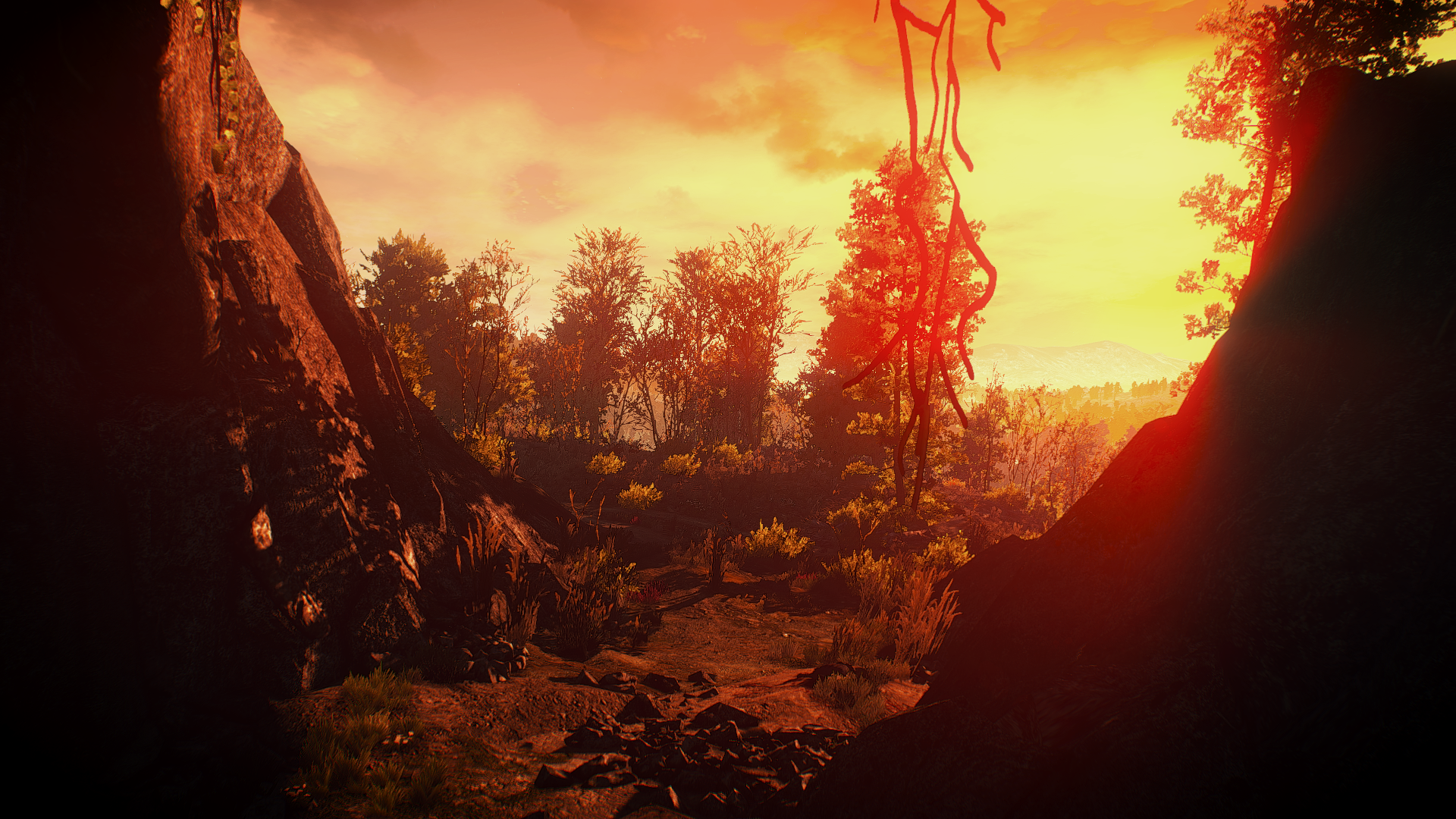 The Witcher 3 Wild Hunt landscape at sunset HD Wallpaper