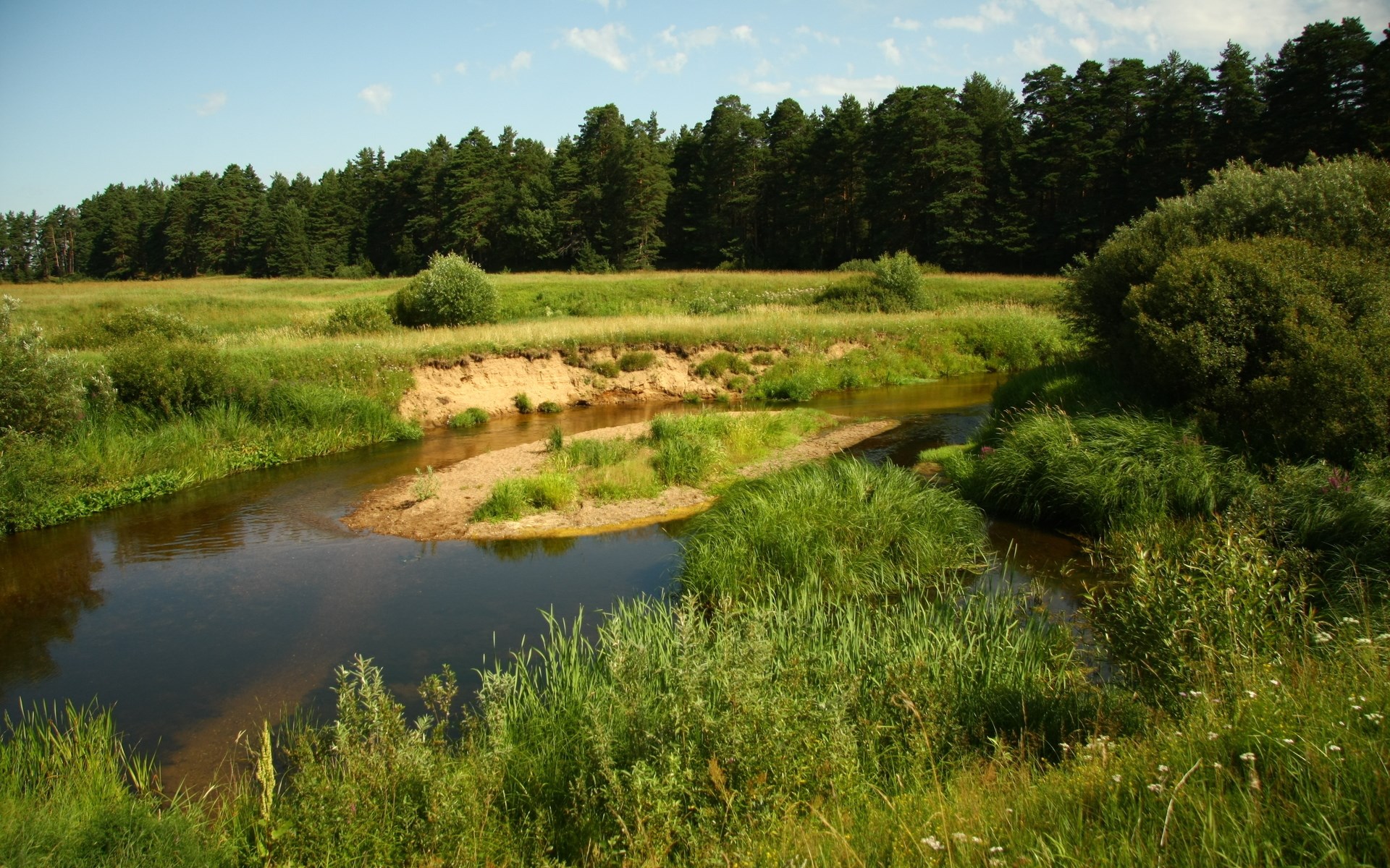 River flowing through a grassy field with a forest in the background HD Wallpaper