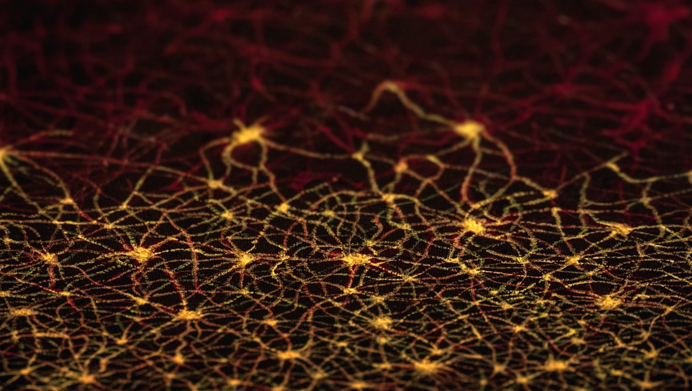 Abstract network of glowing lines and nodes HD Wallpaper