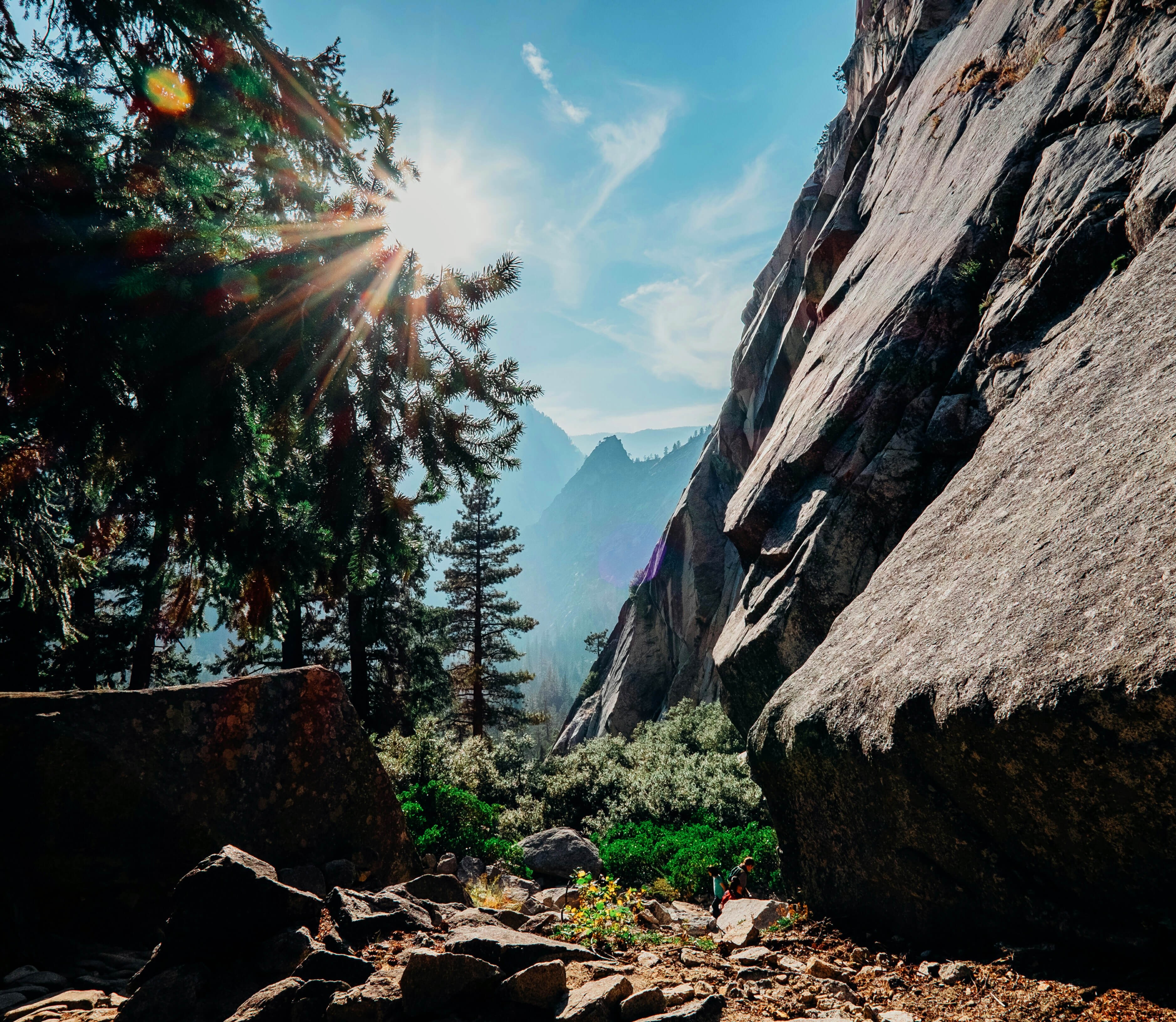 Sunlight through trees in Yosemite National Park valley HD Wallpaper