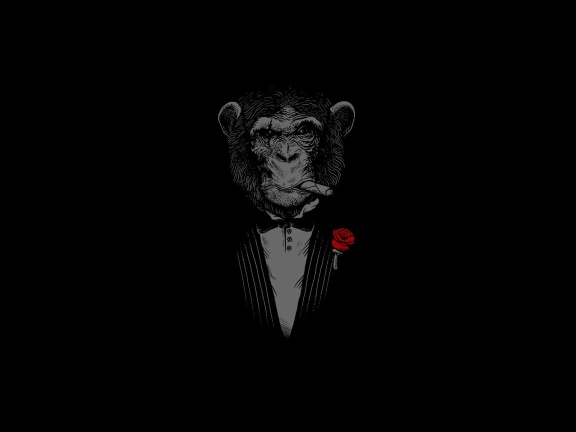 Monkey in a suit with a cigar and rose HD Wallpaper