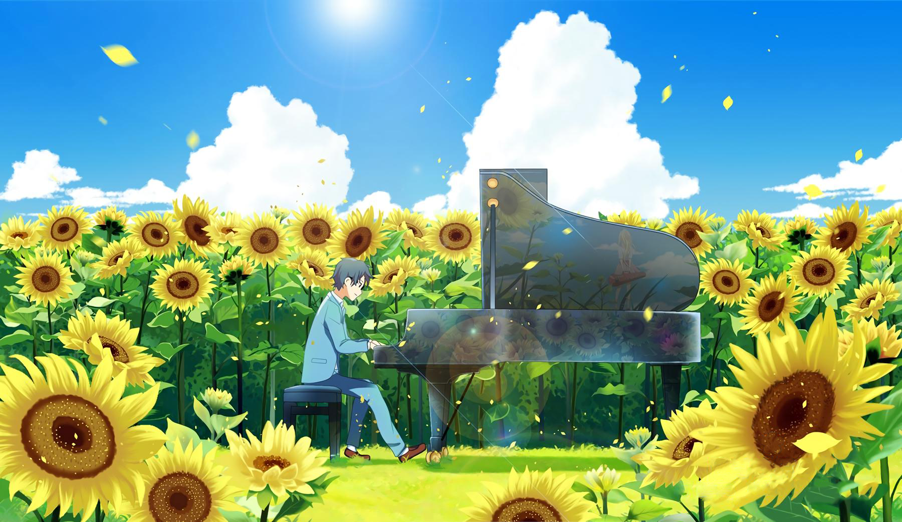 Kousei Arima playing piano in a sunflower field from Shigatsu wa Kimi no Uso HD Wallpaper