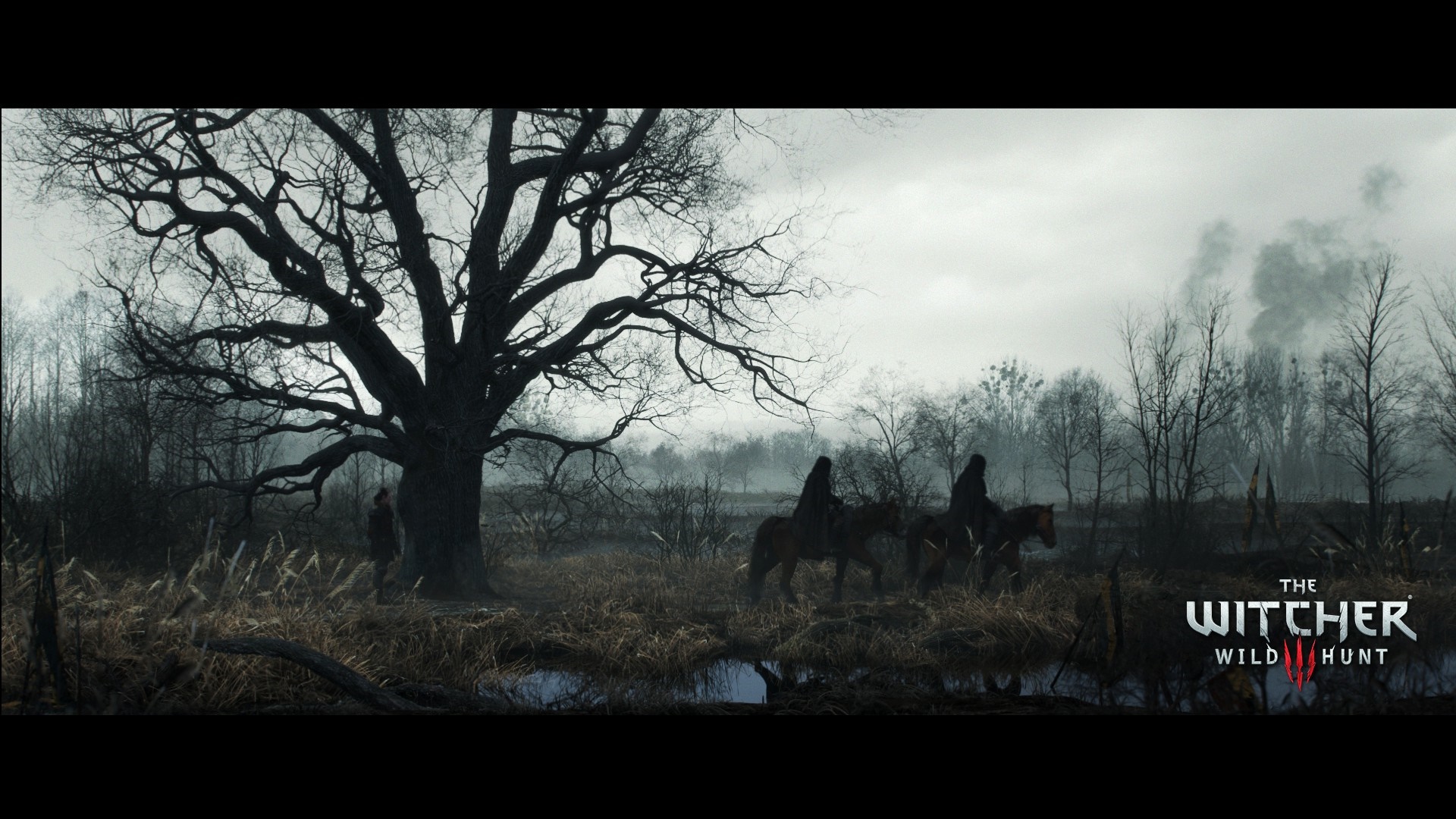 The Witcher 3 Wild Hunt: Riders in a misty swamp HD Wallpaper
