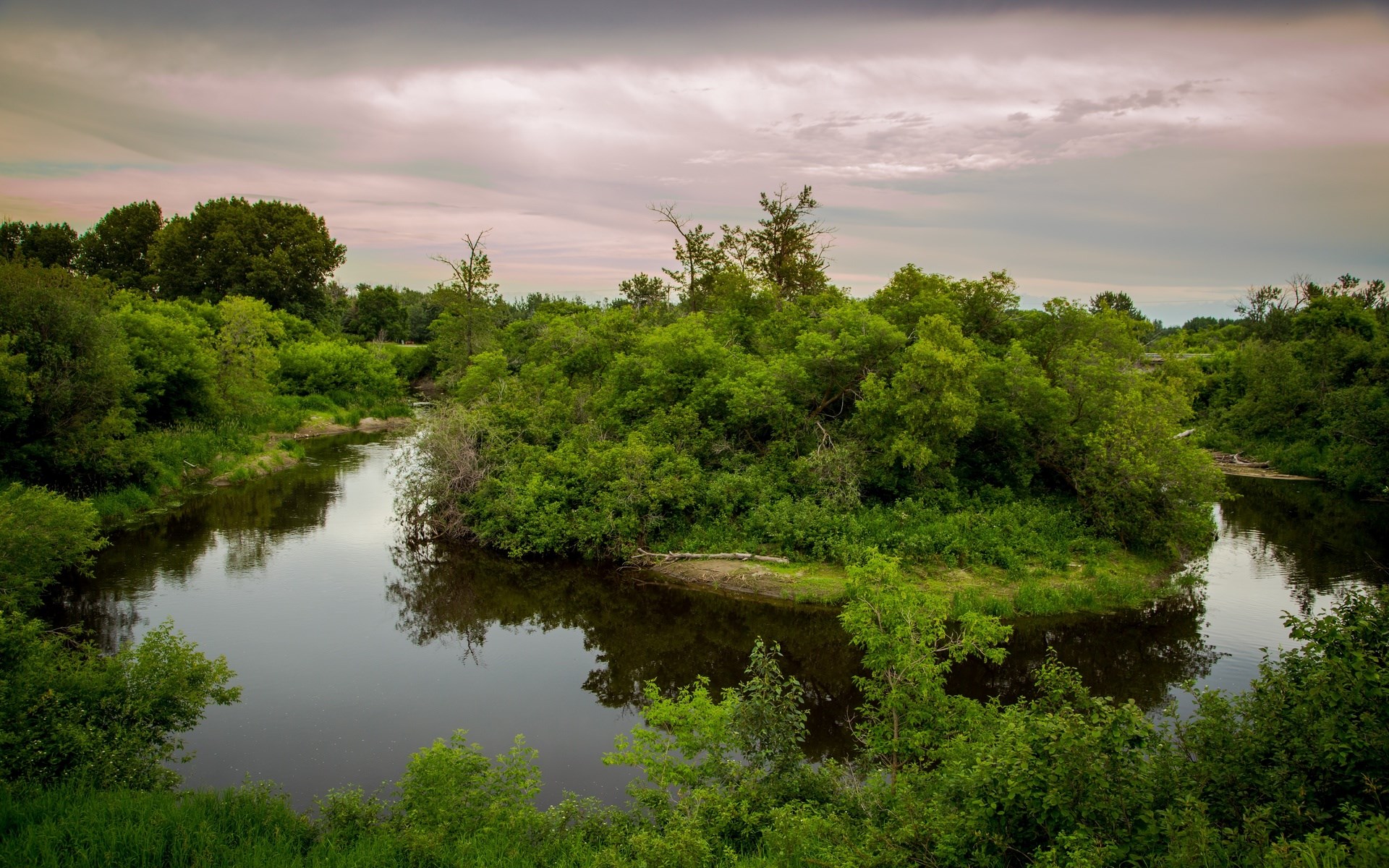 A winding river surrounded by dense green trees under a cloudy sky. HD Wallpaper