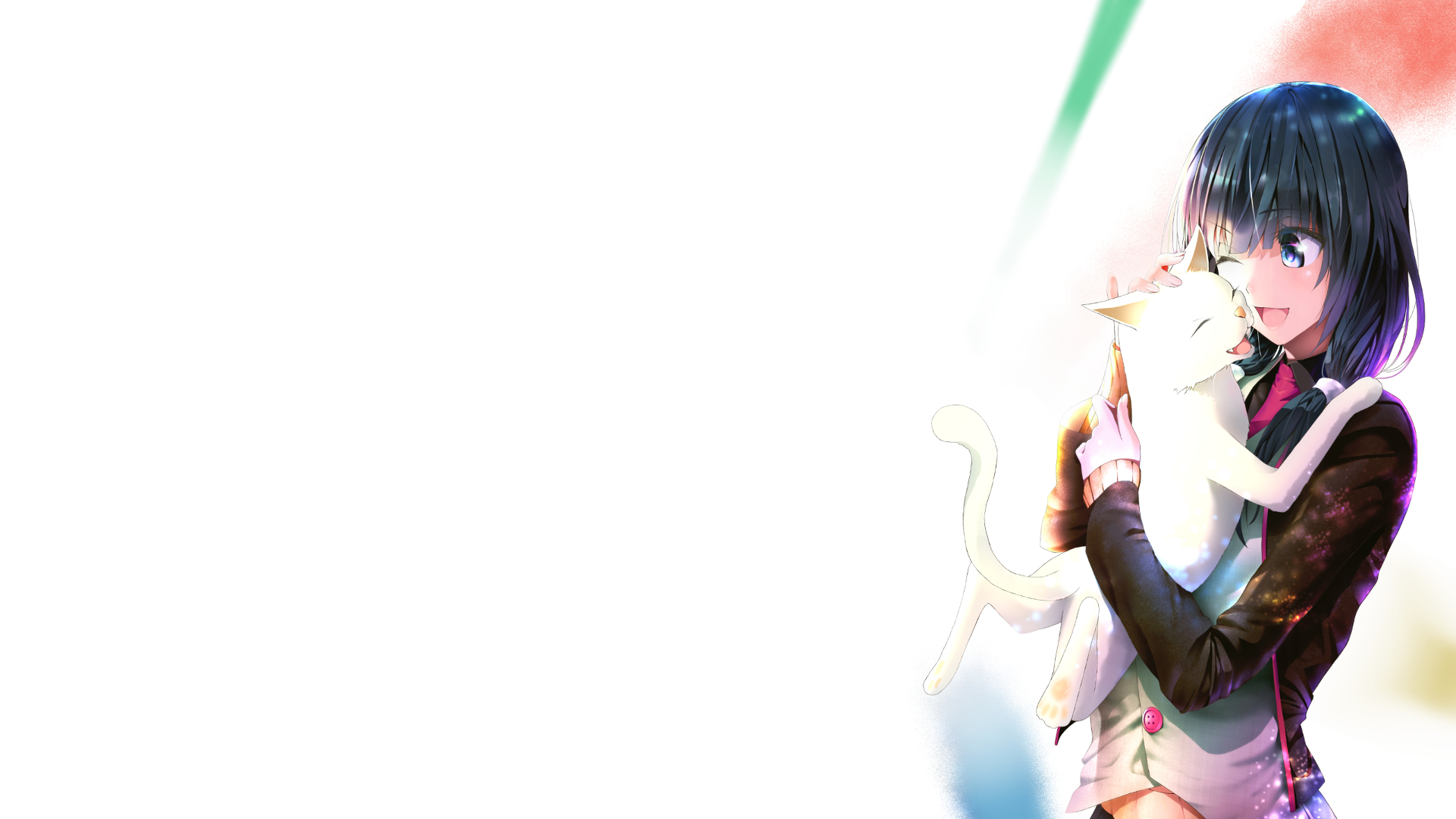 Anime girl hugging a white cat HD Wallpaper