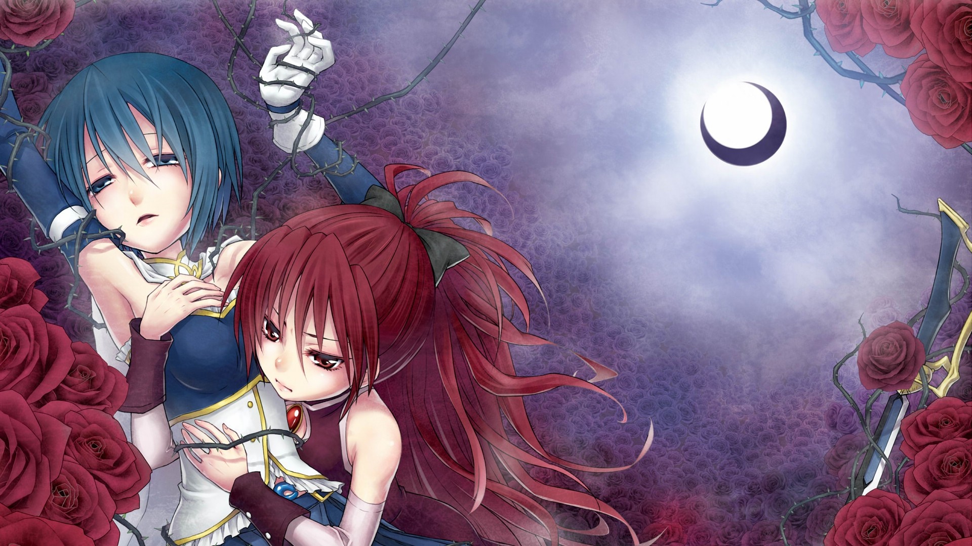 Sayaka Miki and Kyoko Sakura from Puella Magi Madoka Magica HD Wallpaper