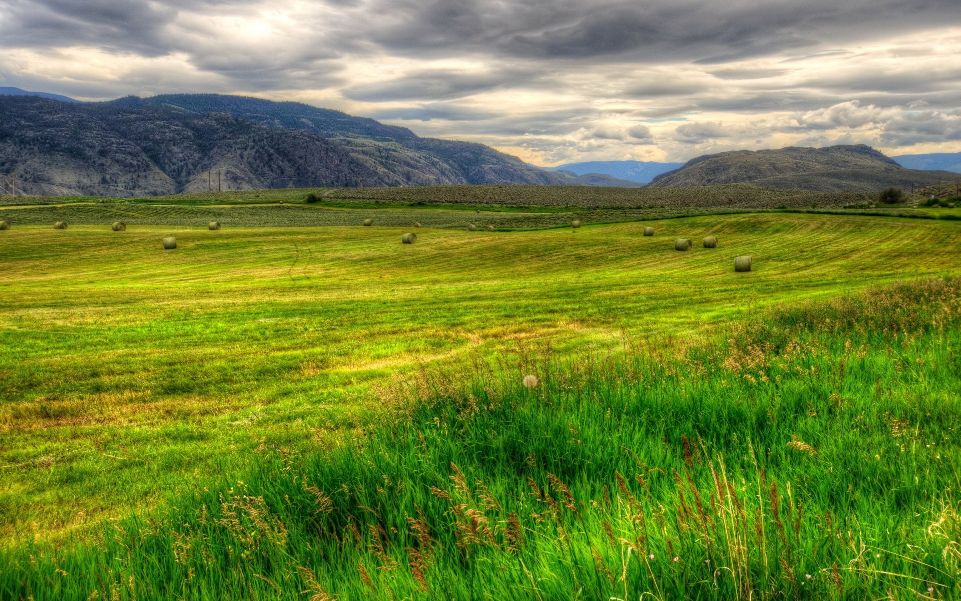 Hay bales in a green field with mountains HD Wallpaper