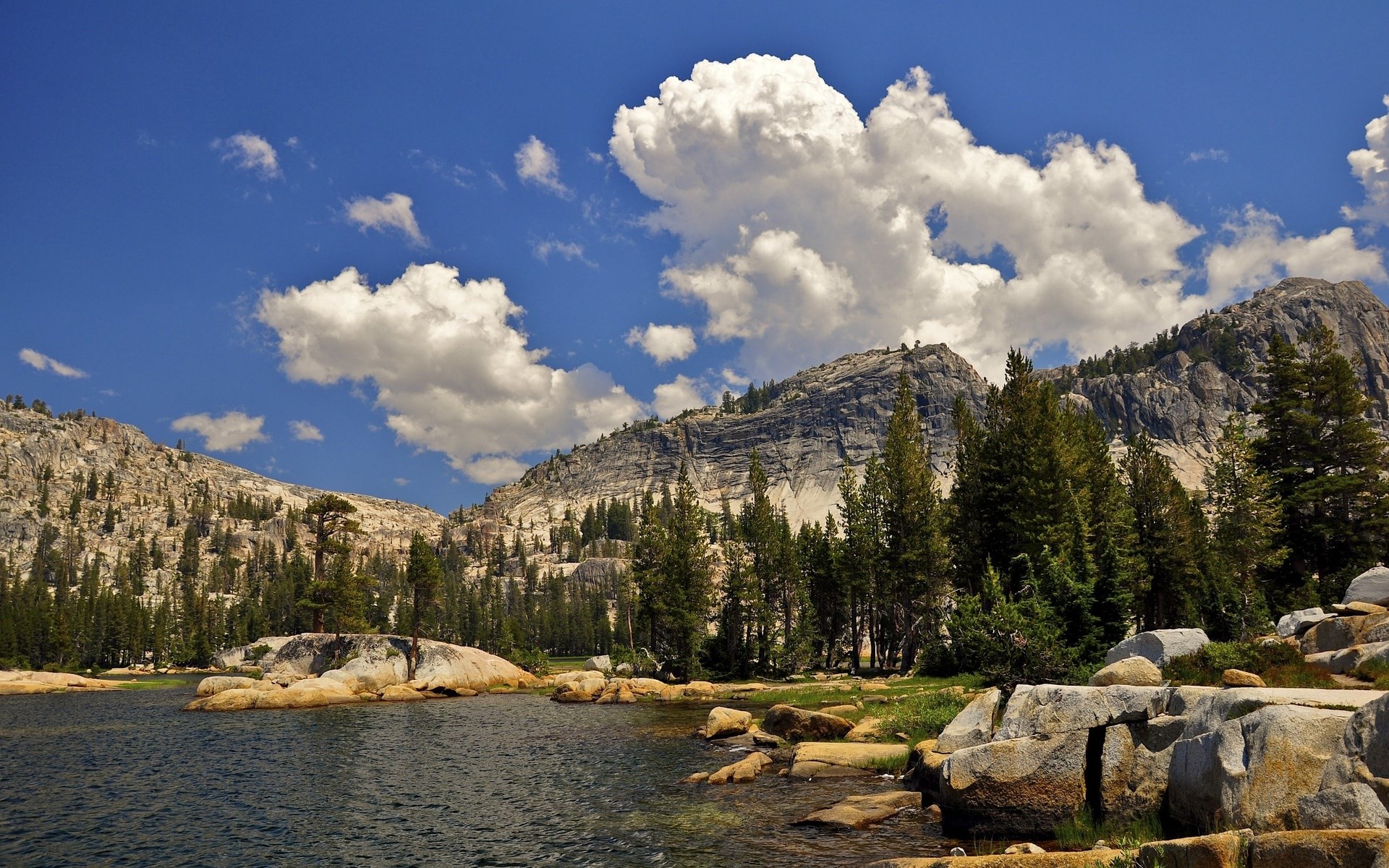 Lake and mountains with pine trees under a cloudy sky HD Wallpaper