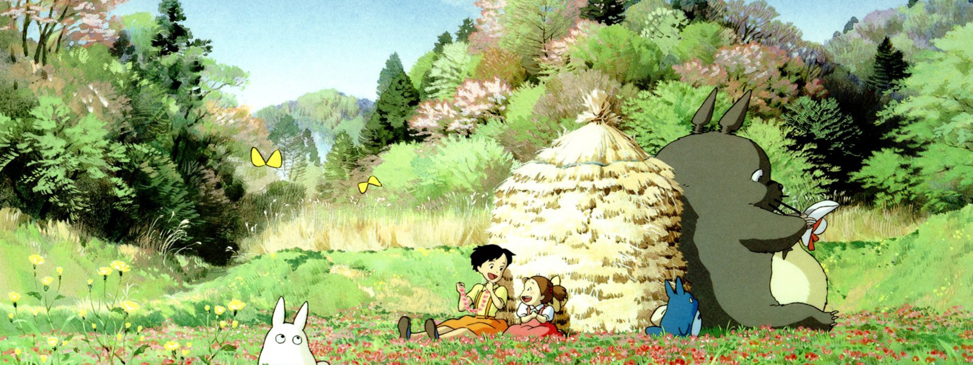 My Neighbor Totoro characters in a field HD Wallpaper
