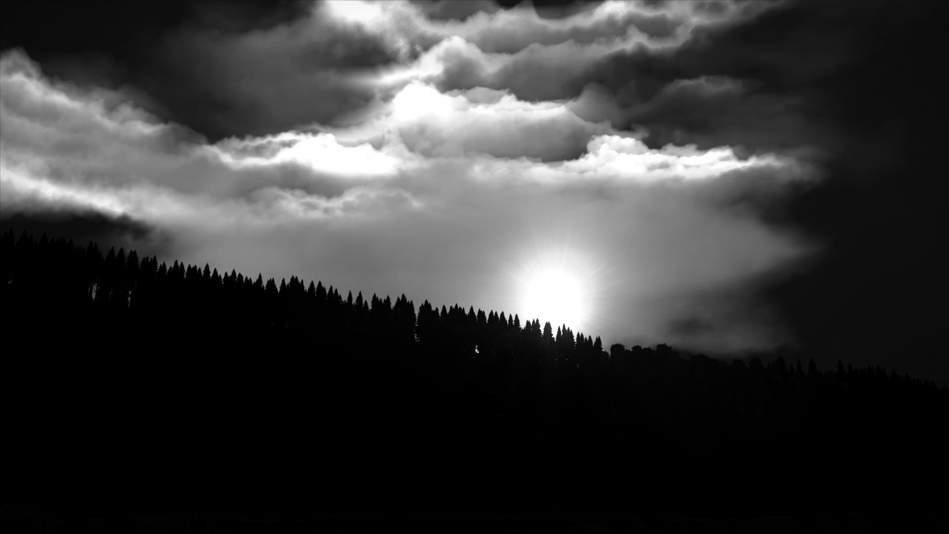 Sun setting behind a silhouetted forest on a cloudy day HD Wallpaper