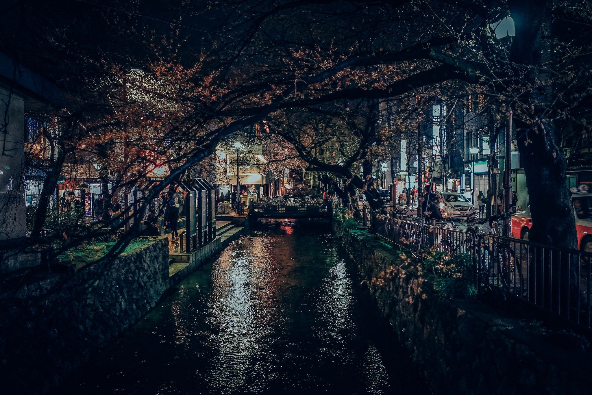 Nighttime canal with cherry blossoms and city lights HD Wallpaper