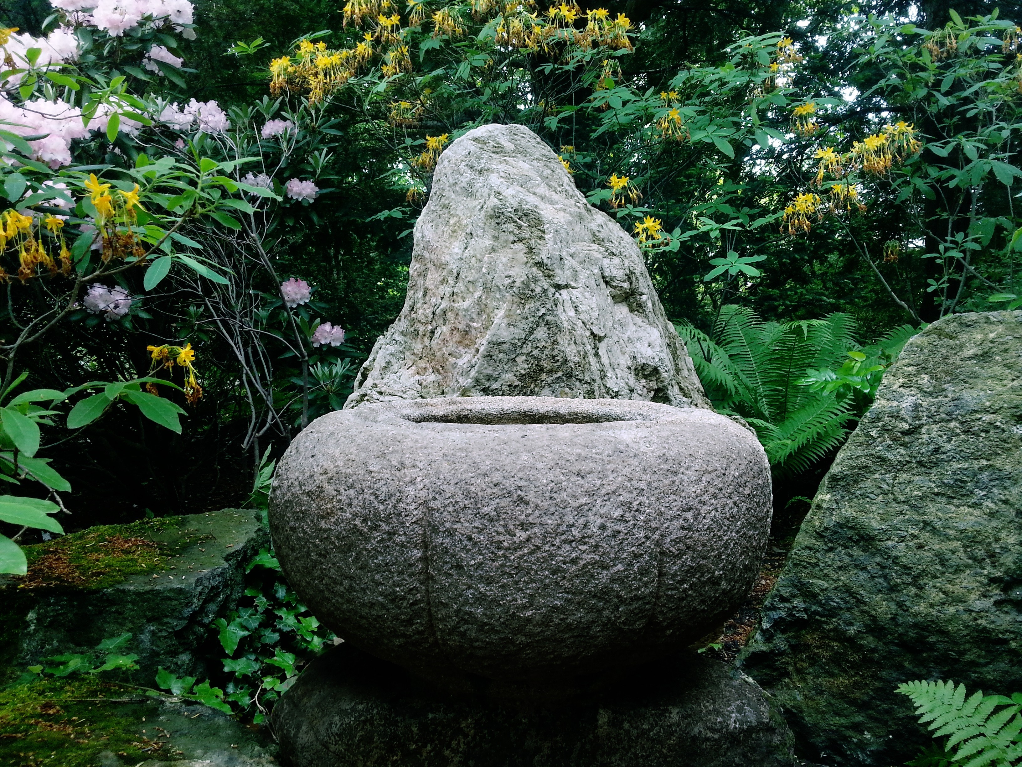 Stone water basin with rock and flowers in a garden HD Wallpaper