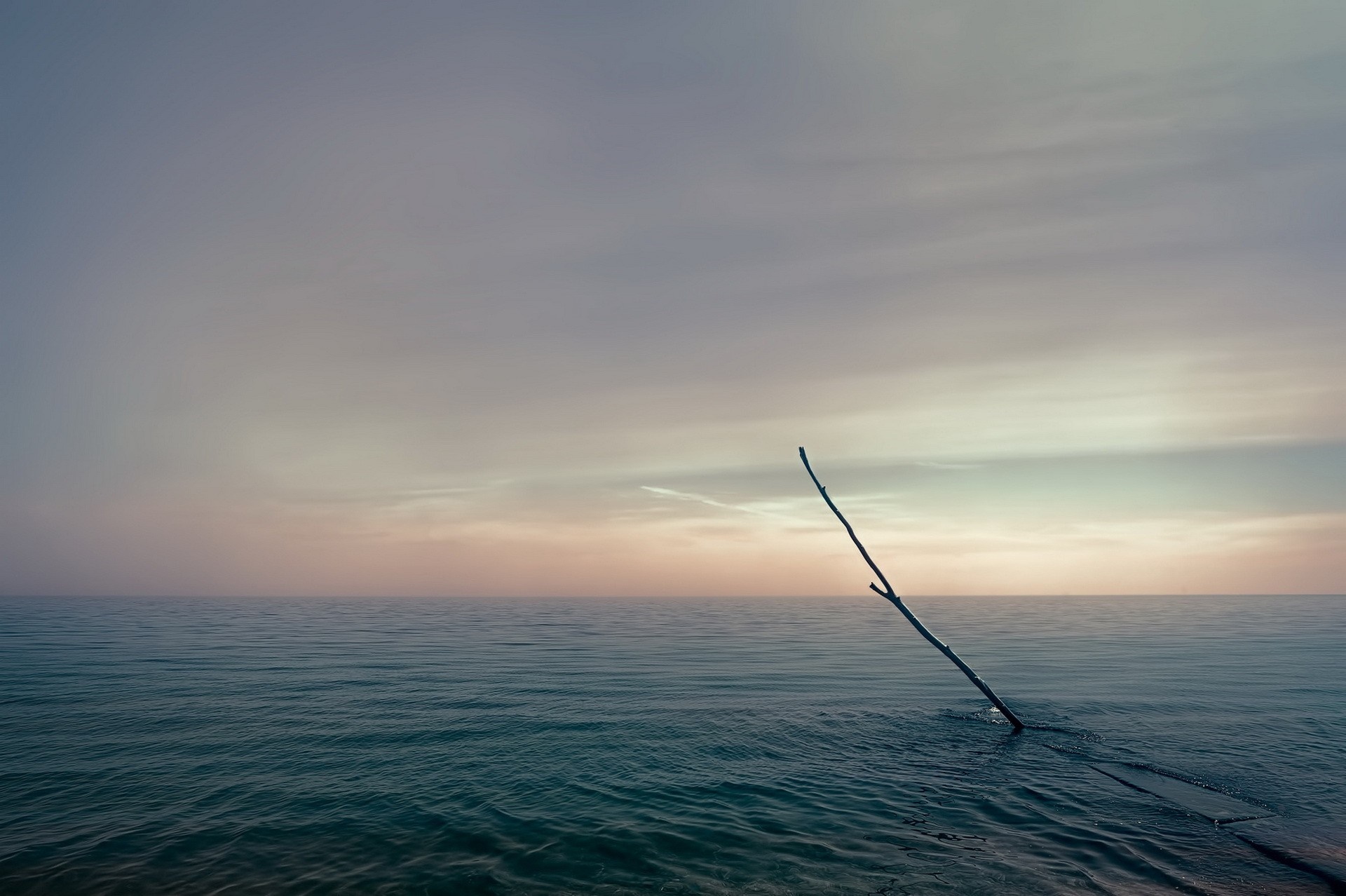 A lone branch in the sea at sunset HD Wallpaper