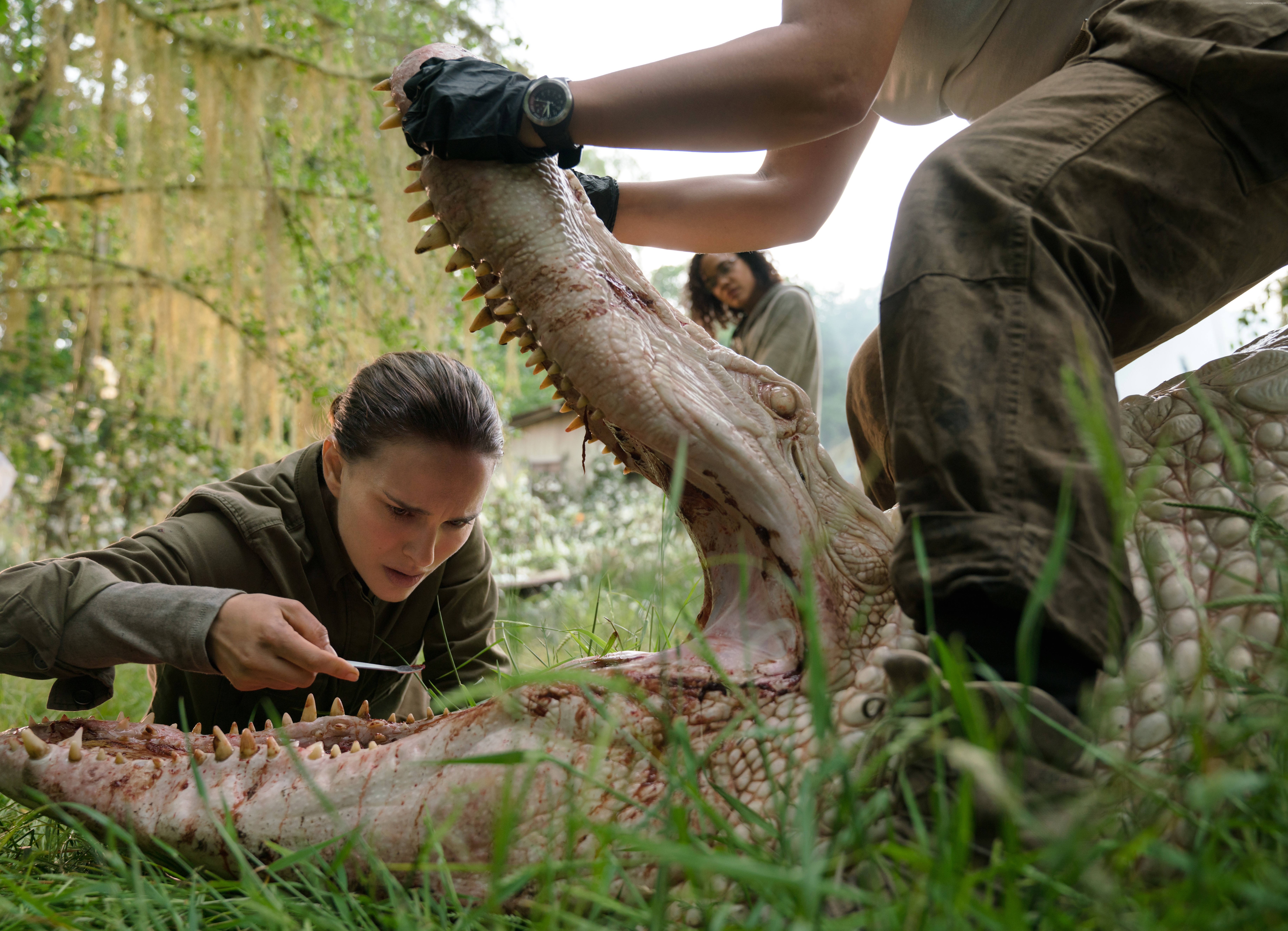 Natalie Portman in Annihilation HD Wallpaper