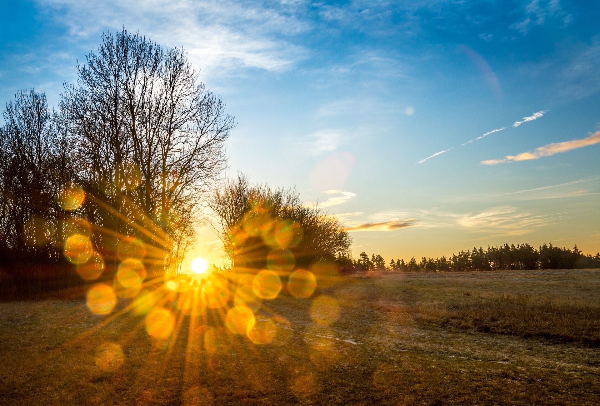 Sunlight shining through trees at sunrise or sunset HD Wallpaper
