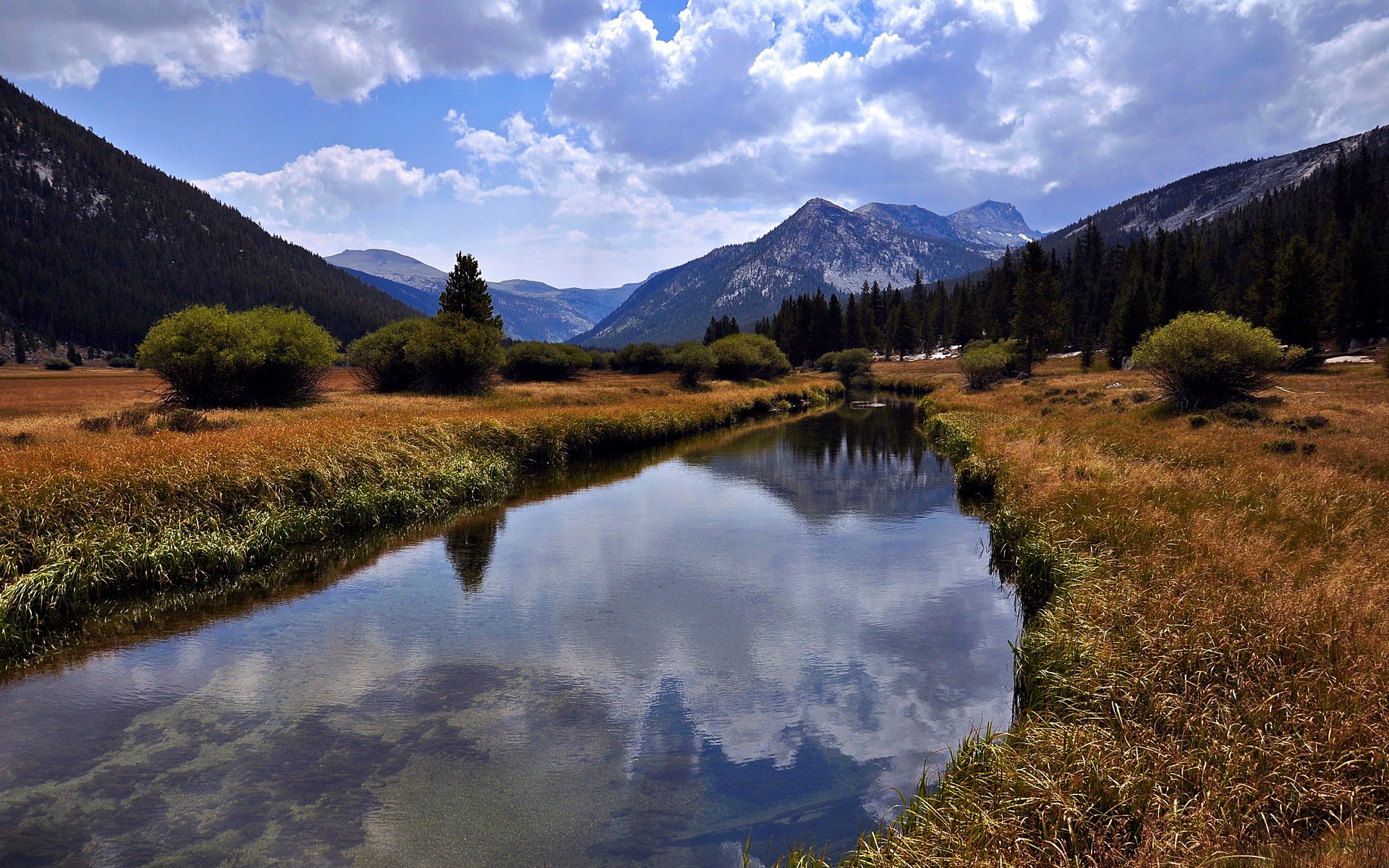 River flowing through a mountain valley with trees and clouds HD Wallpaper