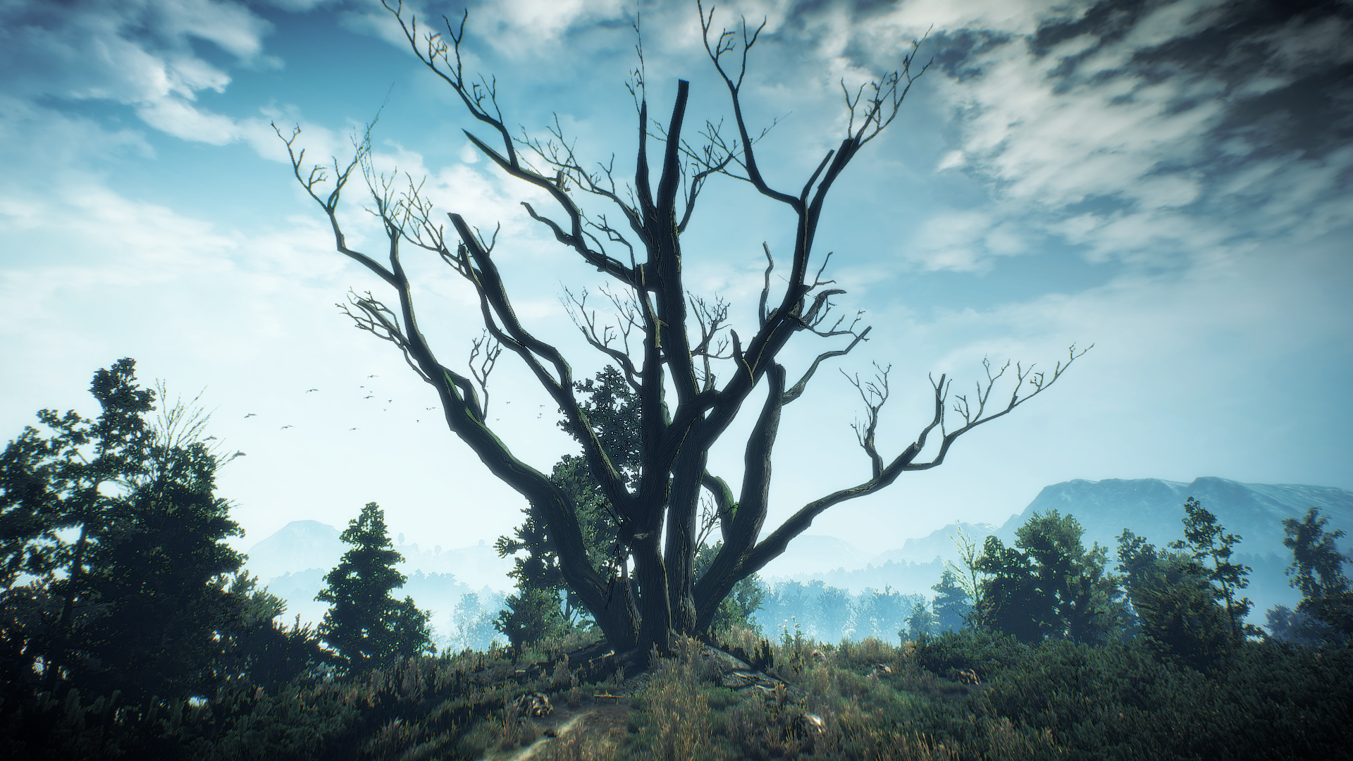 The Witcher 3 Wild Hunt: A lone tree on a misty hill HD Wallpaper