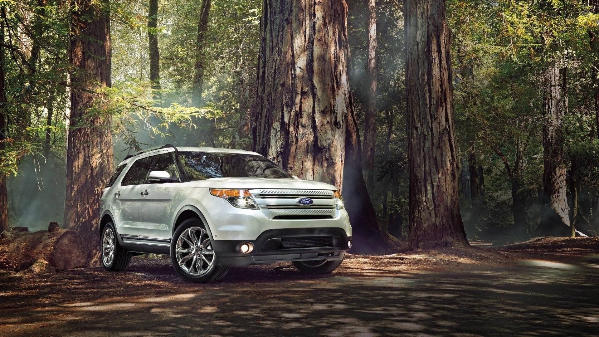 White Ford Explorer SUV in a Redwood Forest HD Wallpaper
