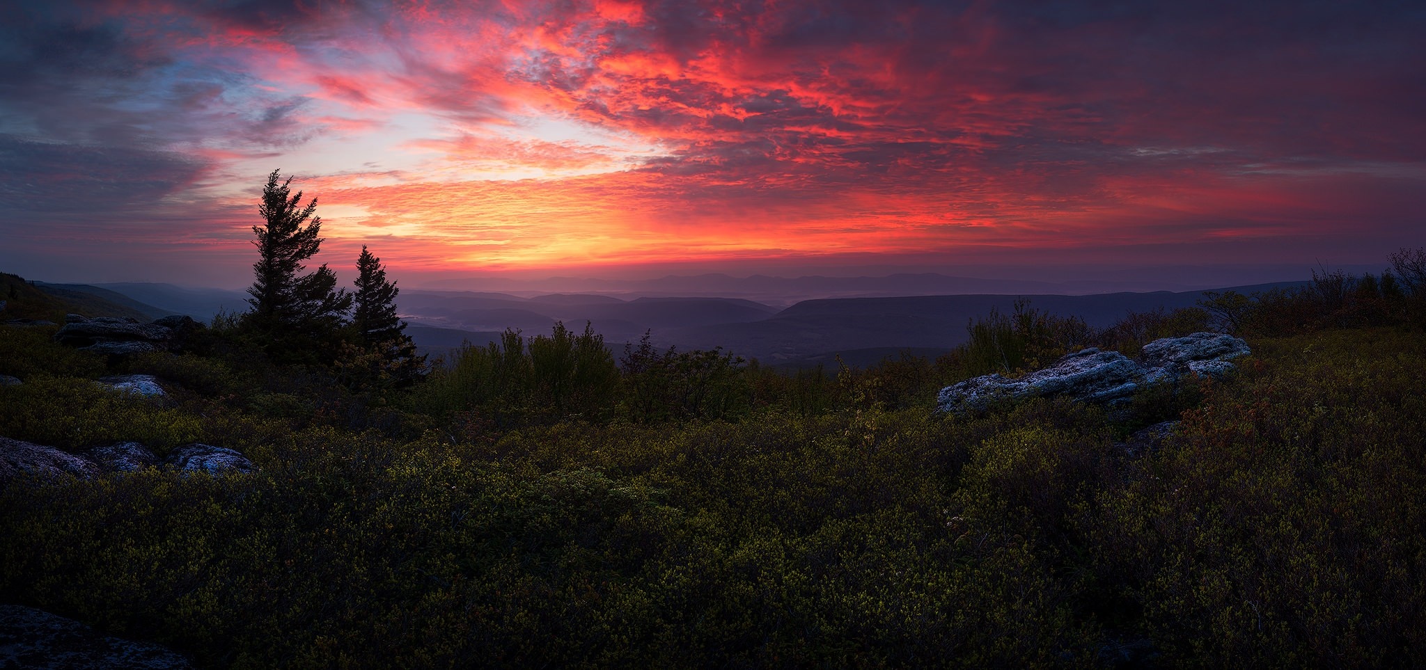 Sunset over mountains with trees and rocks HD Wallpaper