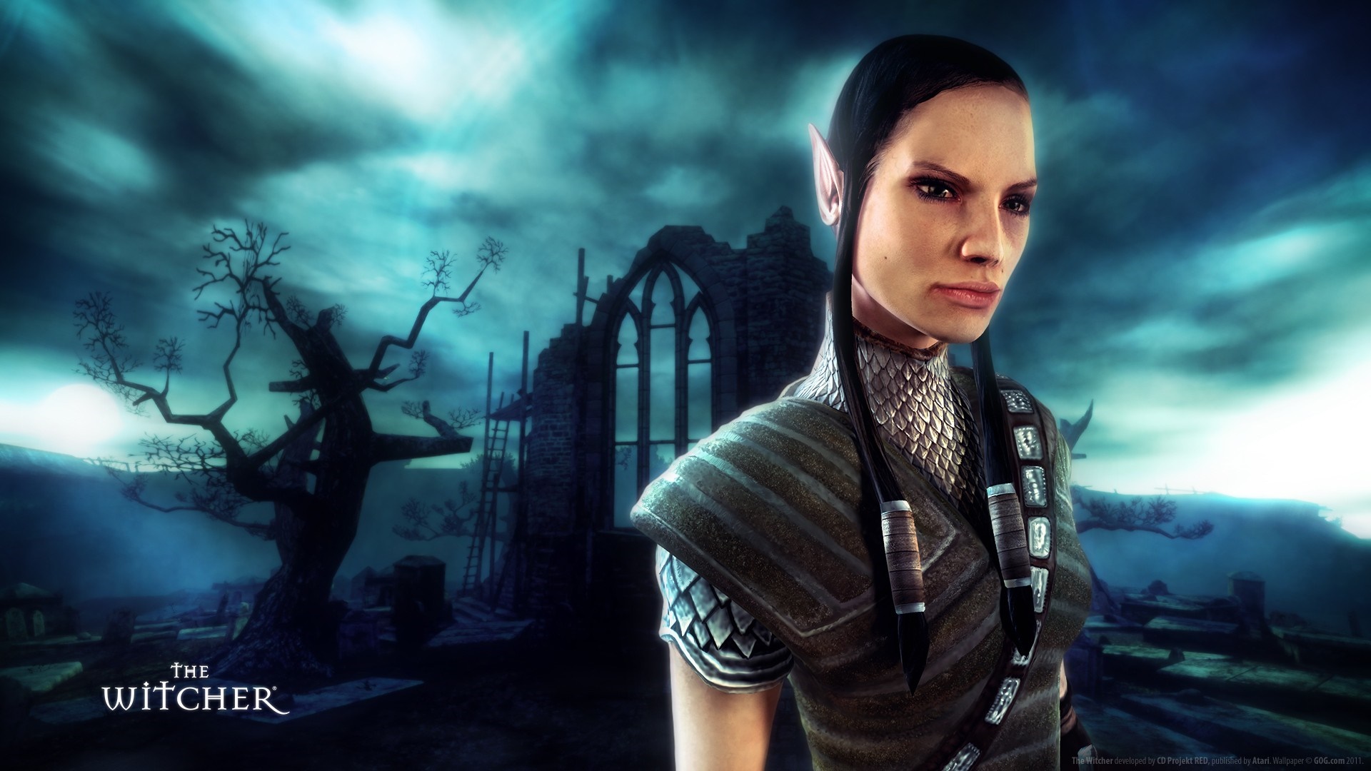 Elven woman from The Witcher HD Wallpaper