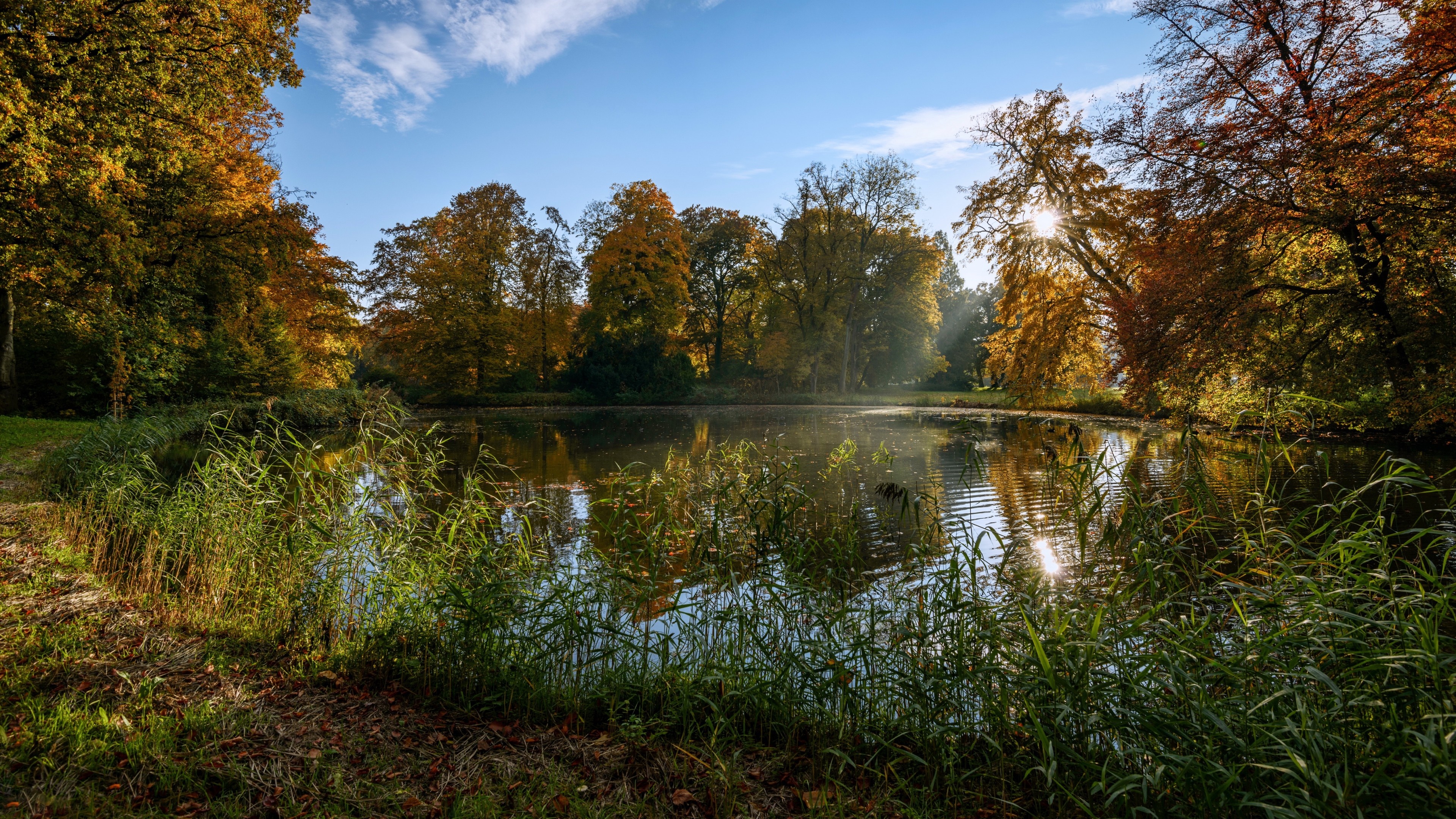 Autumn park with a pond and trees HD Wallpaper
