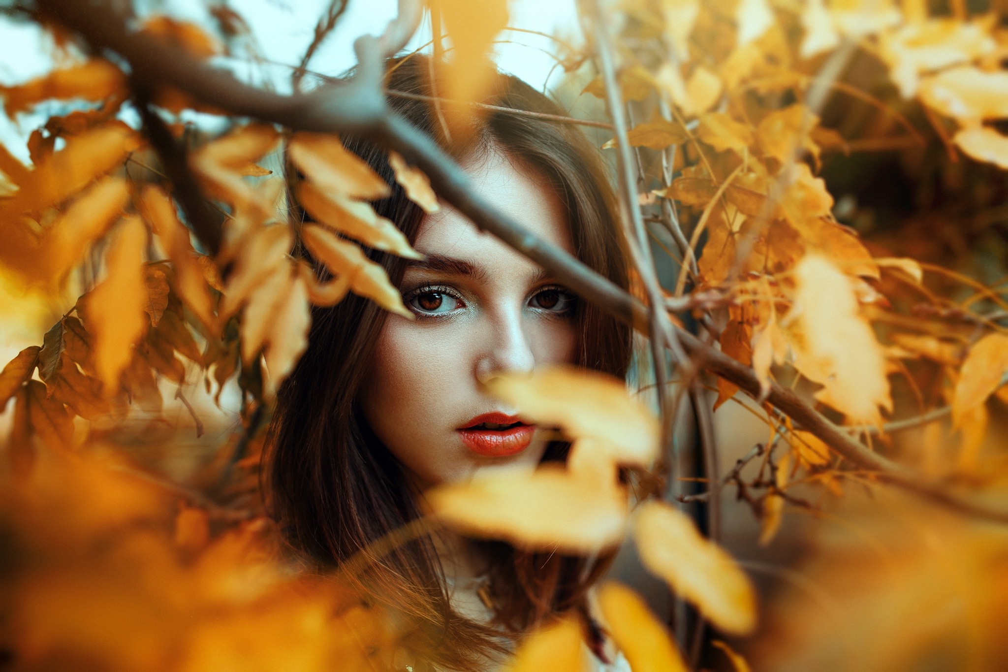 Woman with red lipstick peeking through autumn leaves HD Wallpaper