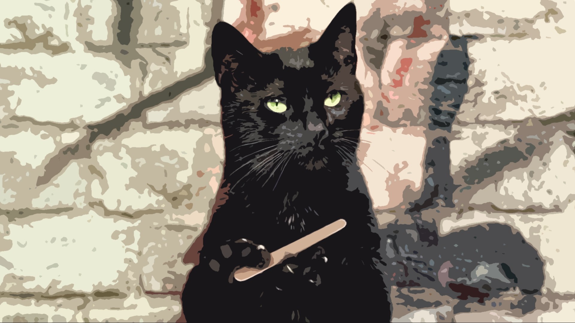 Black cat holding a wooden spoon HD Wallpaper