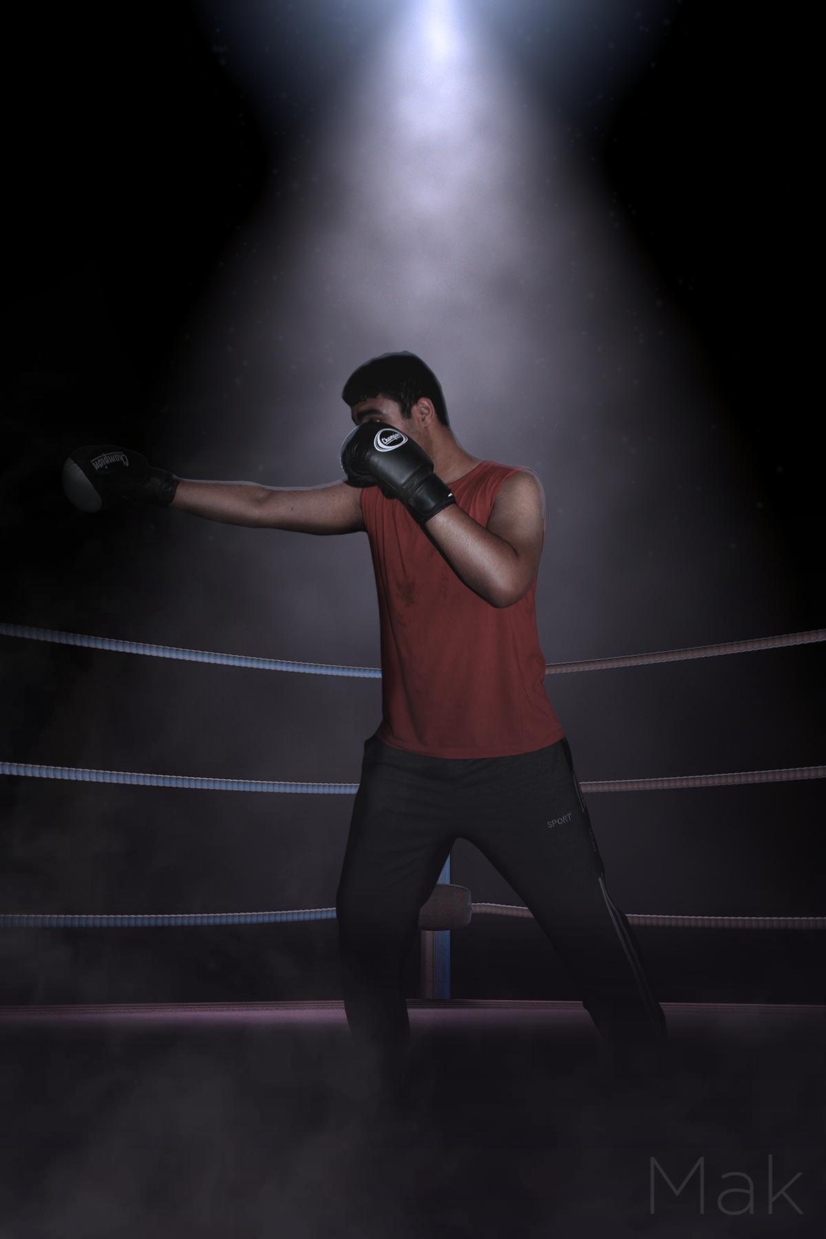 Boxer in a boxing ring under a spotlight HD Wallpaper