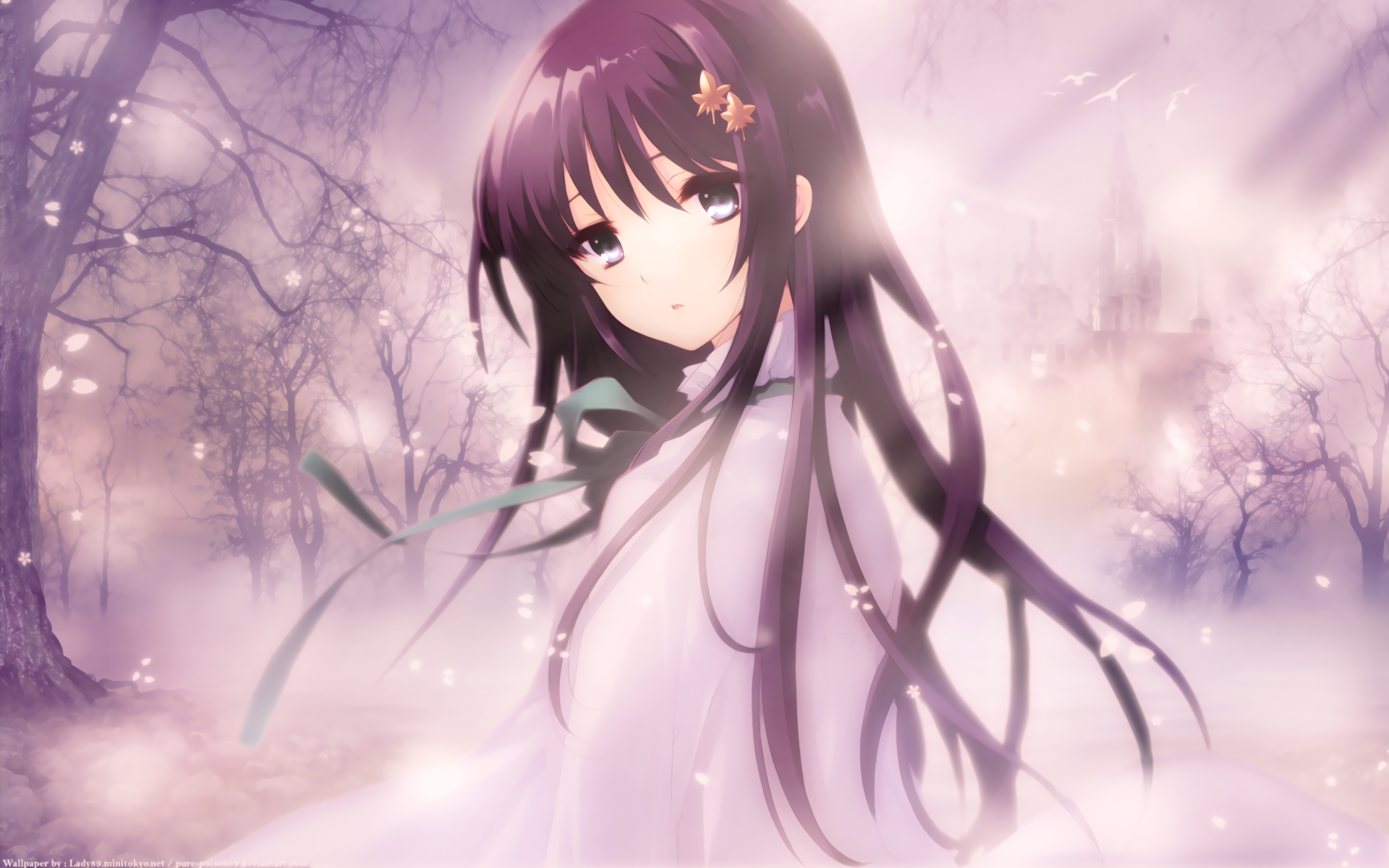 Anime girl with purple hair in a misty forest HD Wallpaper