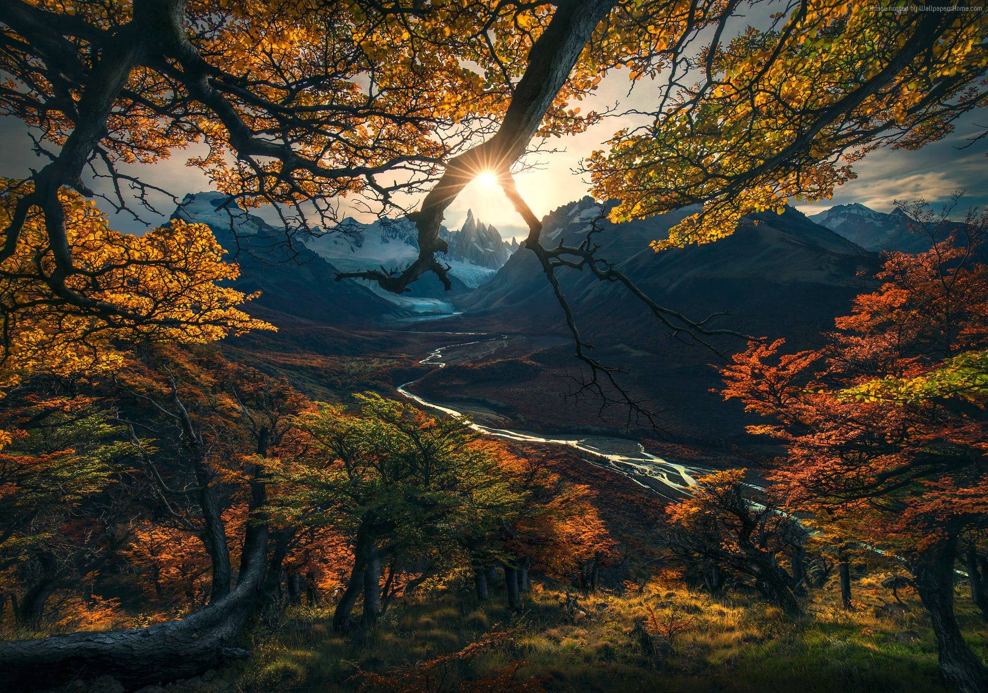 mountains, autumn, HD, forest, tree HD Wallpaper