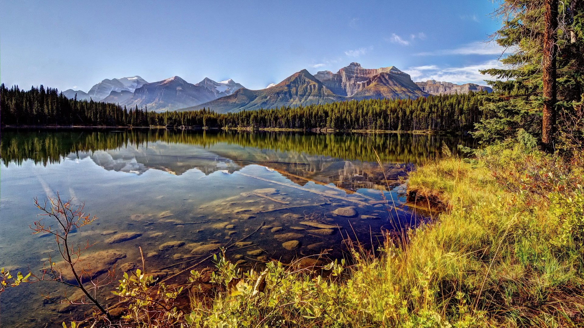 Lake reflection of mountains and forest HD Wallpaper