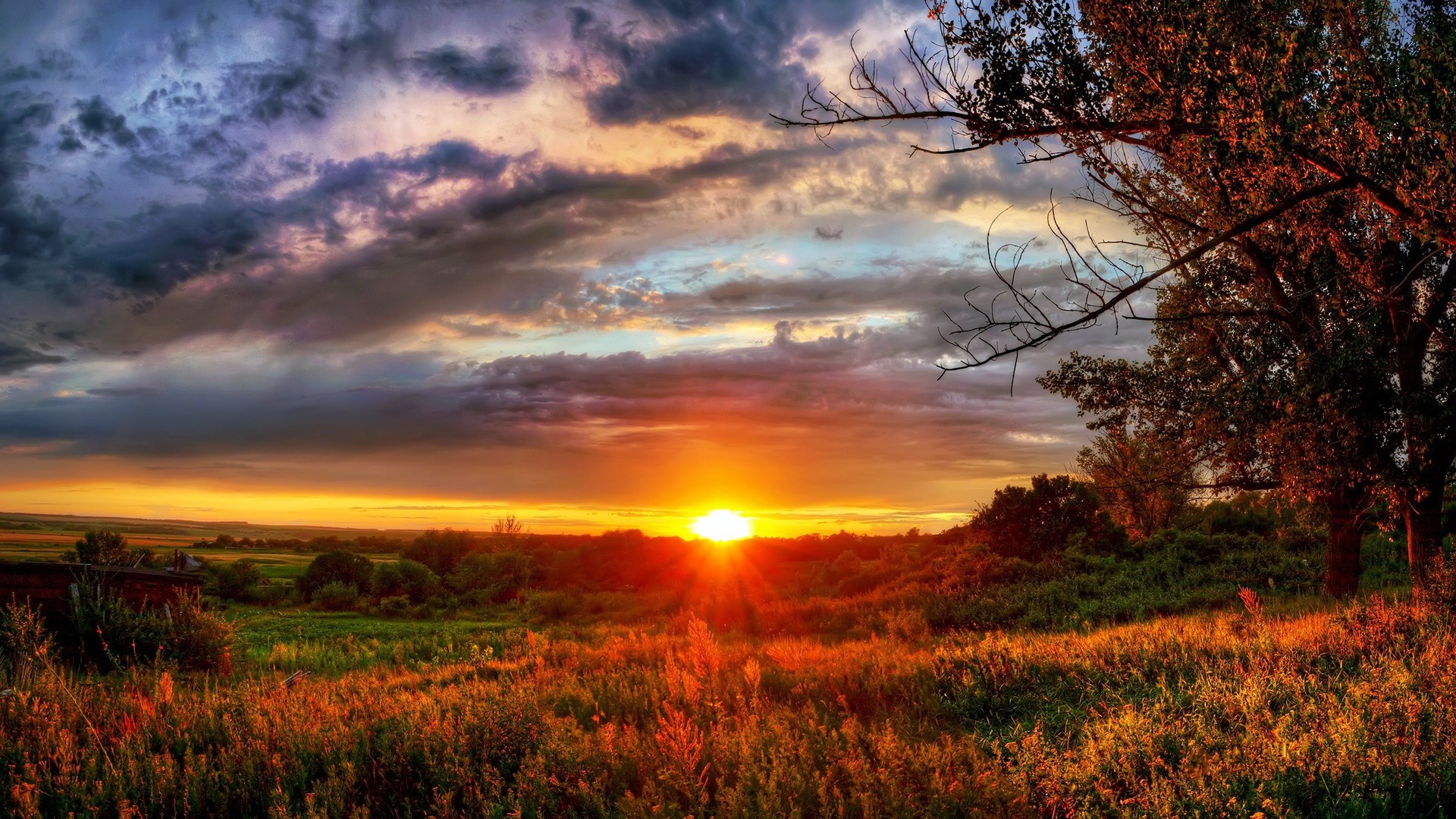 Sunset over a field with trees and clouds HD Wallpaper