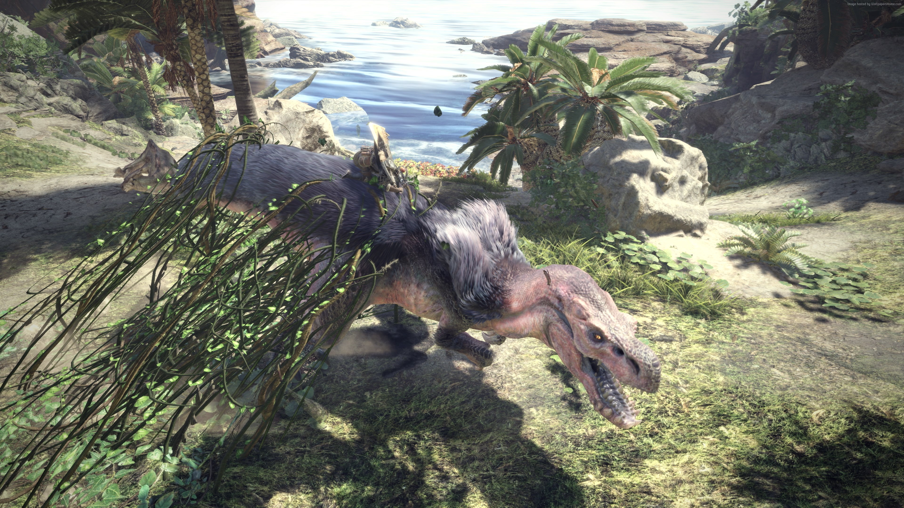Monster Hunter 4K screenshot from Tokyo Game Show 2017 HD Wallpaper
