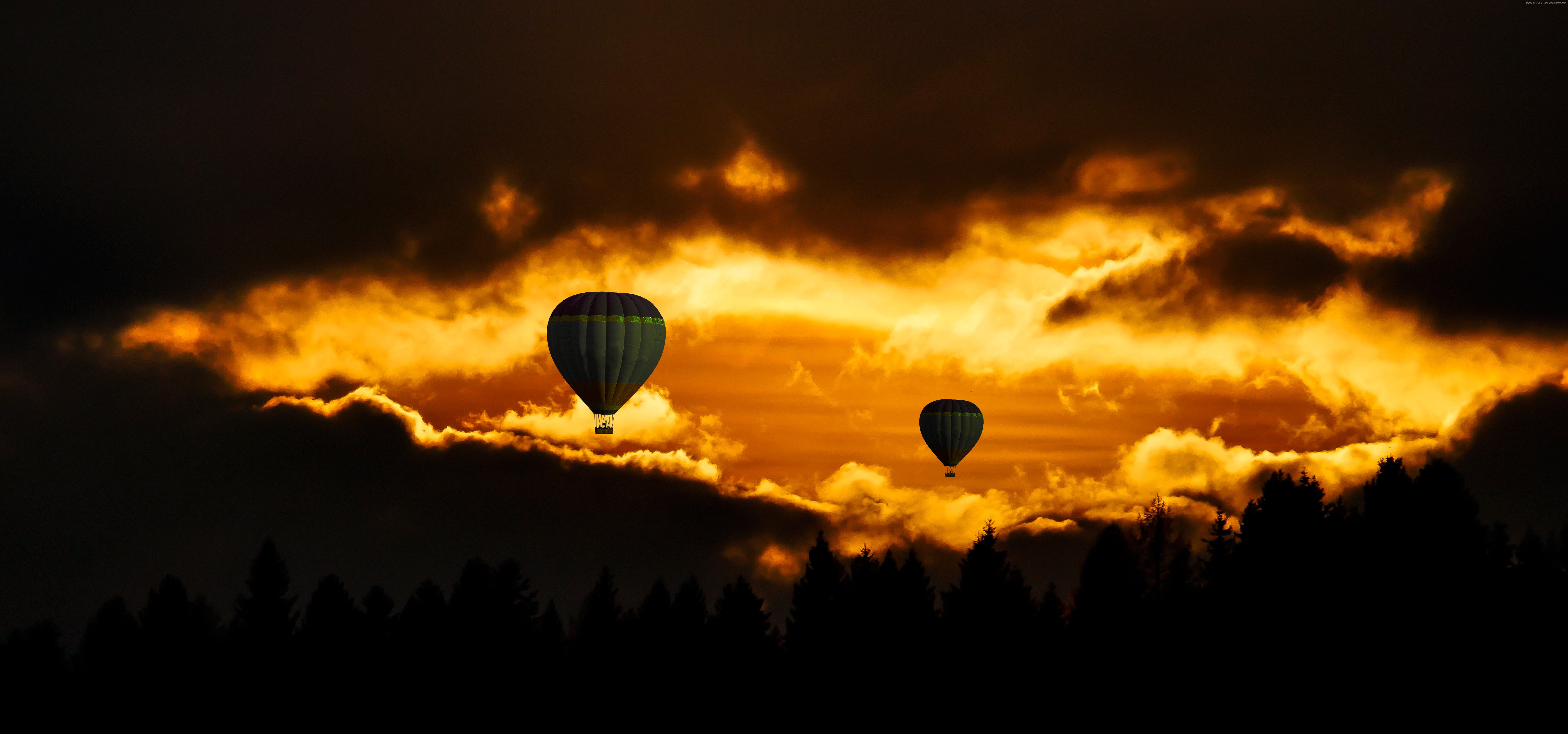 Hot air balloons at sunset over a forest HD Wallpaper