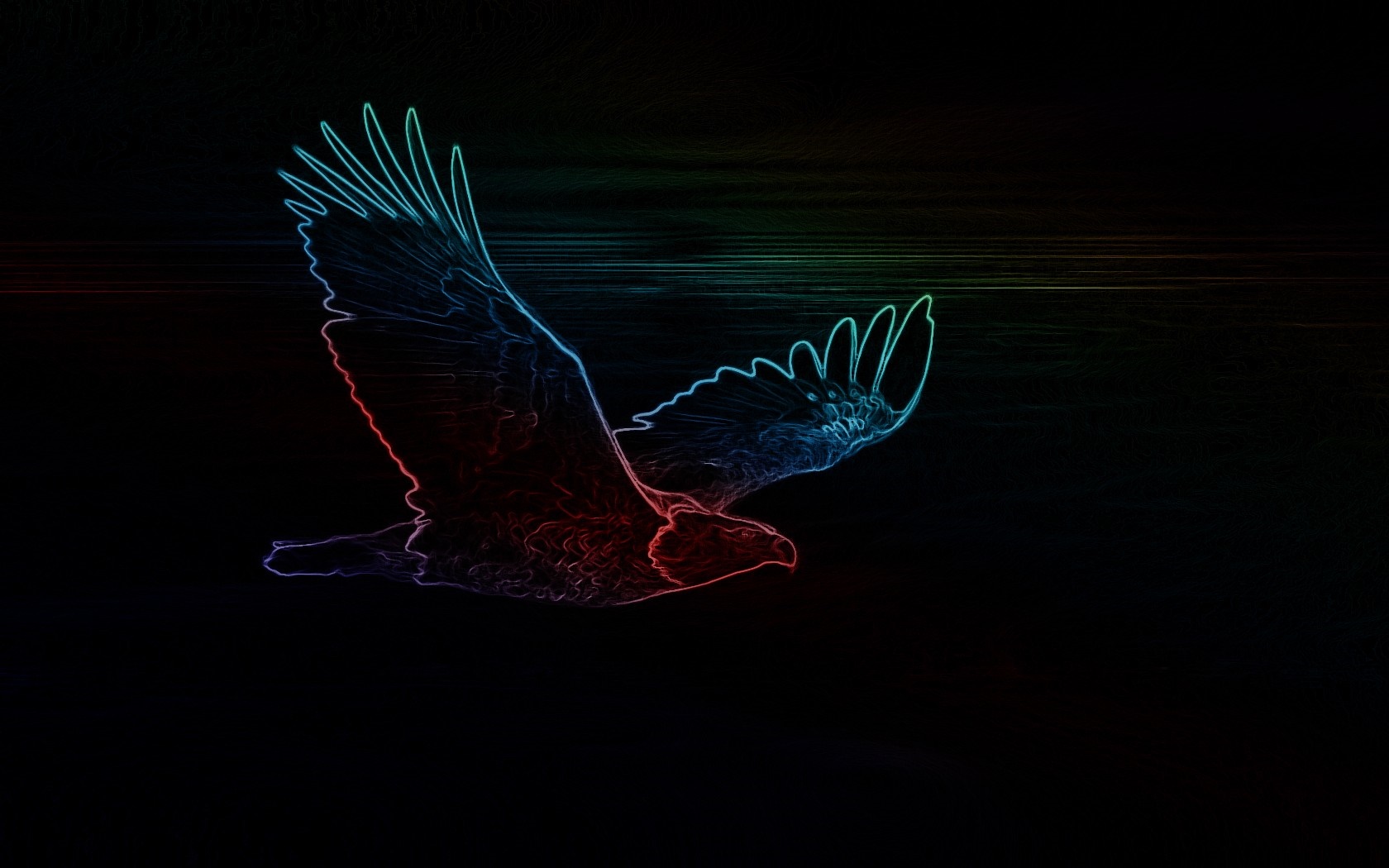Neon outline of an eagle in flight against a dark background HD Wallpaper
