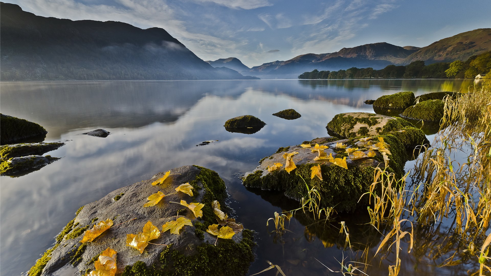 Lake and mountains with rocks and autumn leaves HD Wallpaper