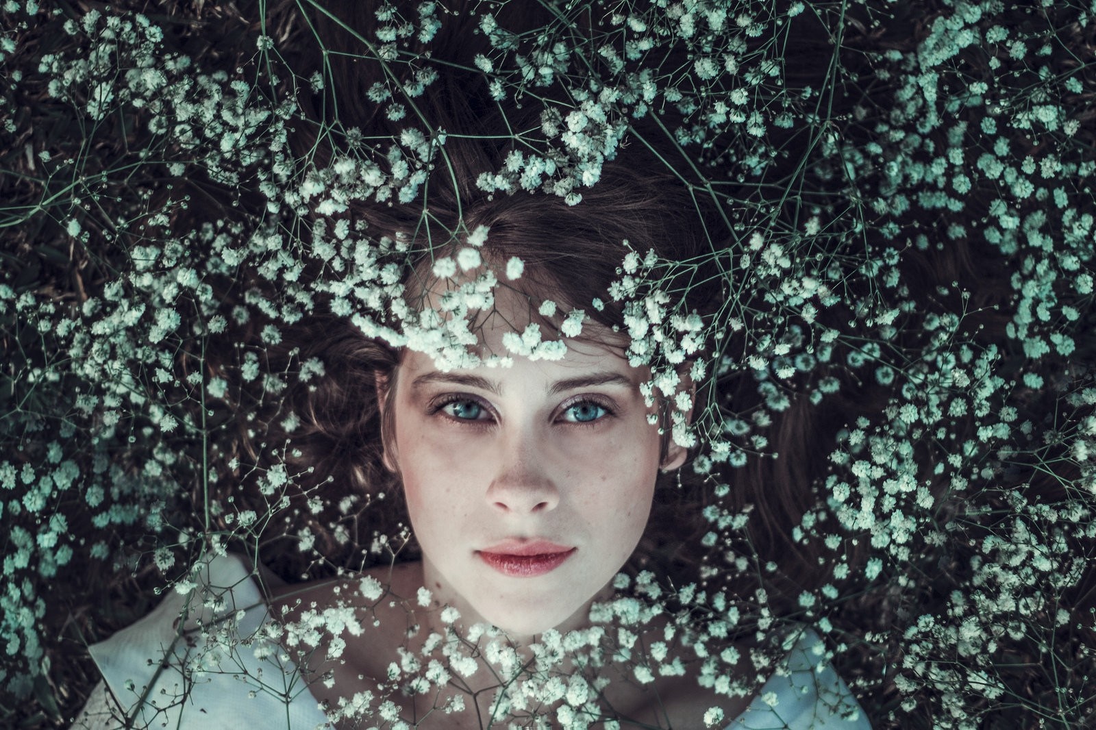 Woman with blue eyes lying among white flowers HD Wallpaper