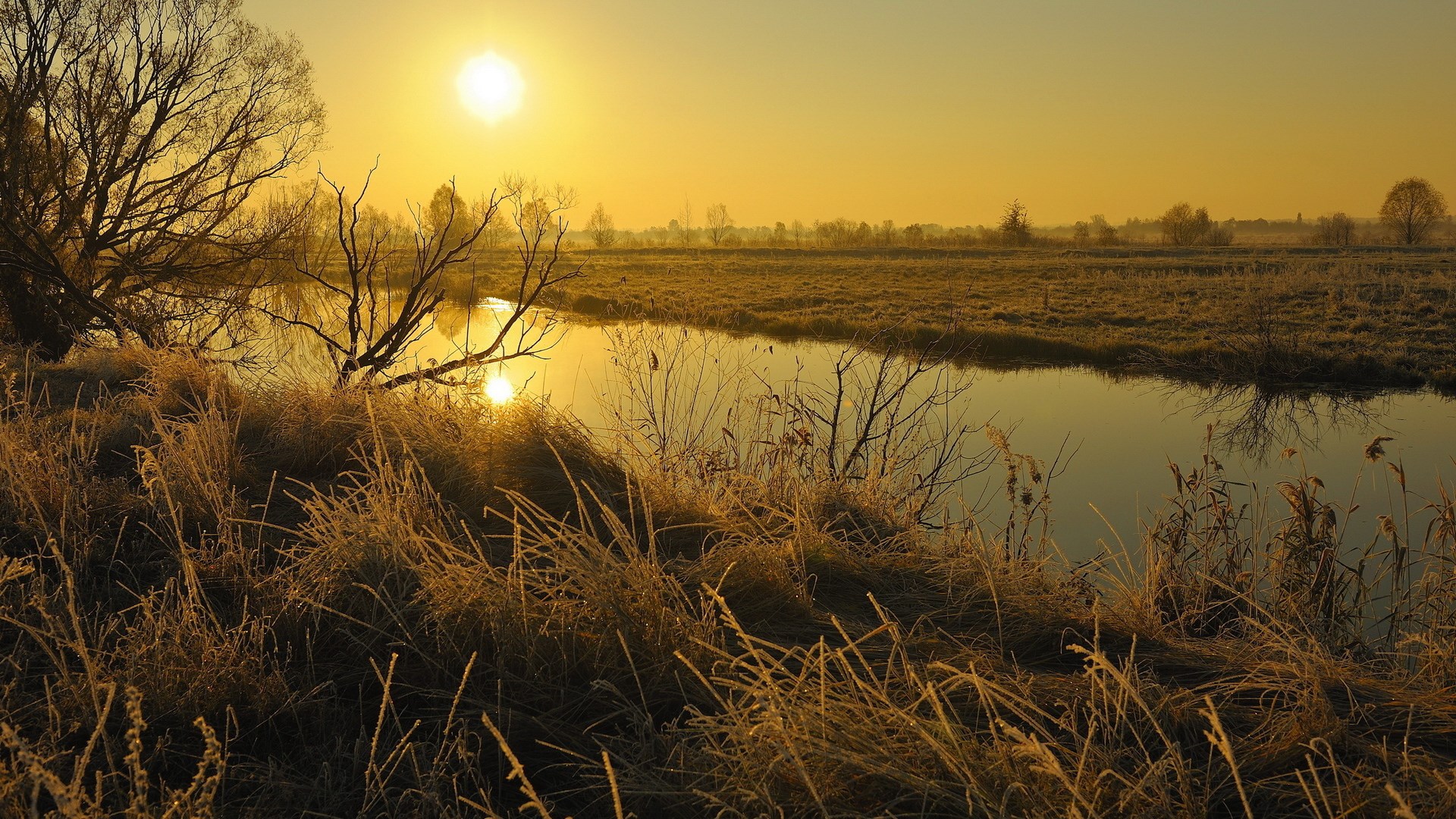 Sunrise over a frosty river and meadow HD Wallpaper