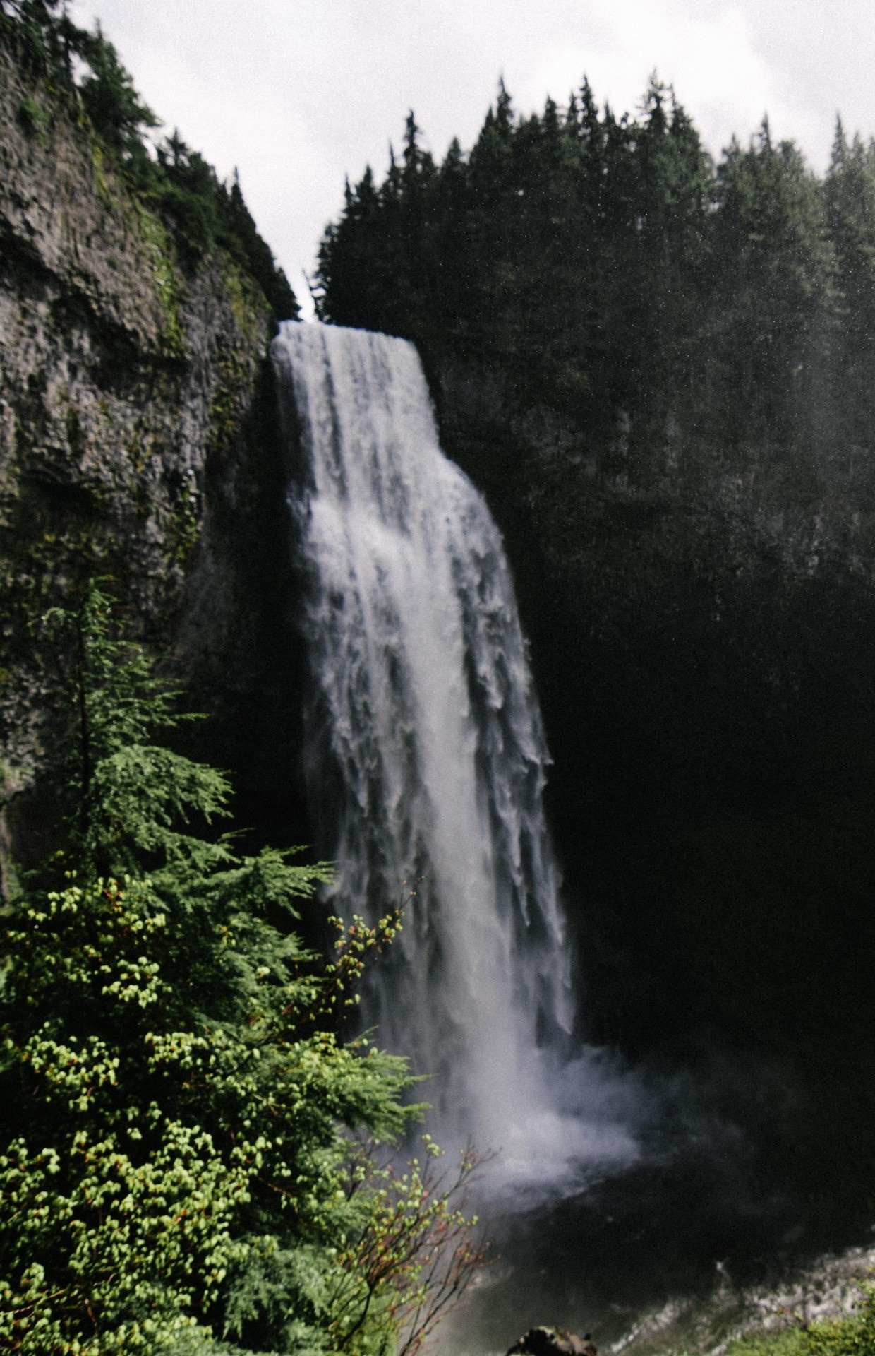 Salt Creek Falls in Oregon HD Wallpaper