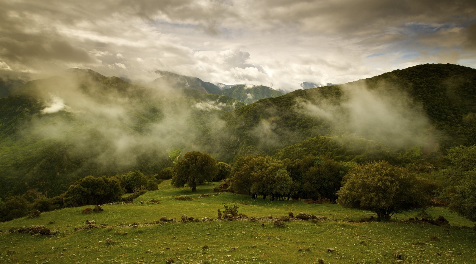 Misty mountains and green hills with trees HD Wallpaper