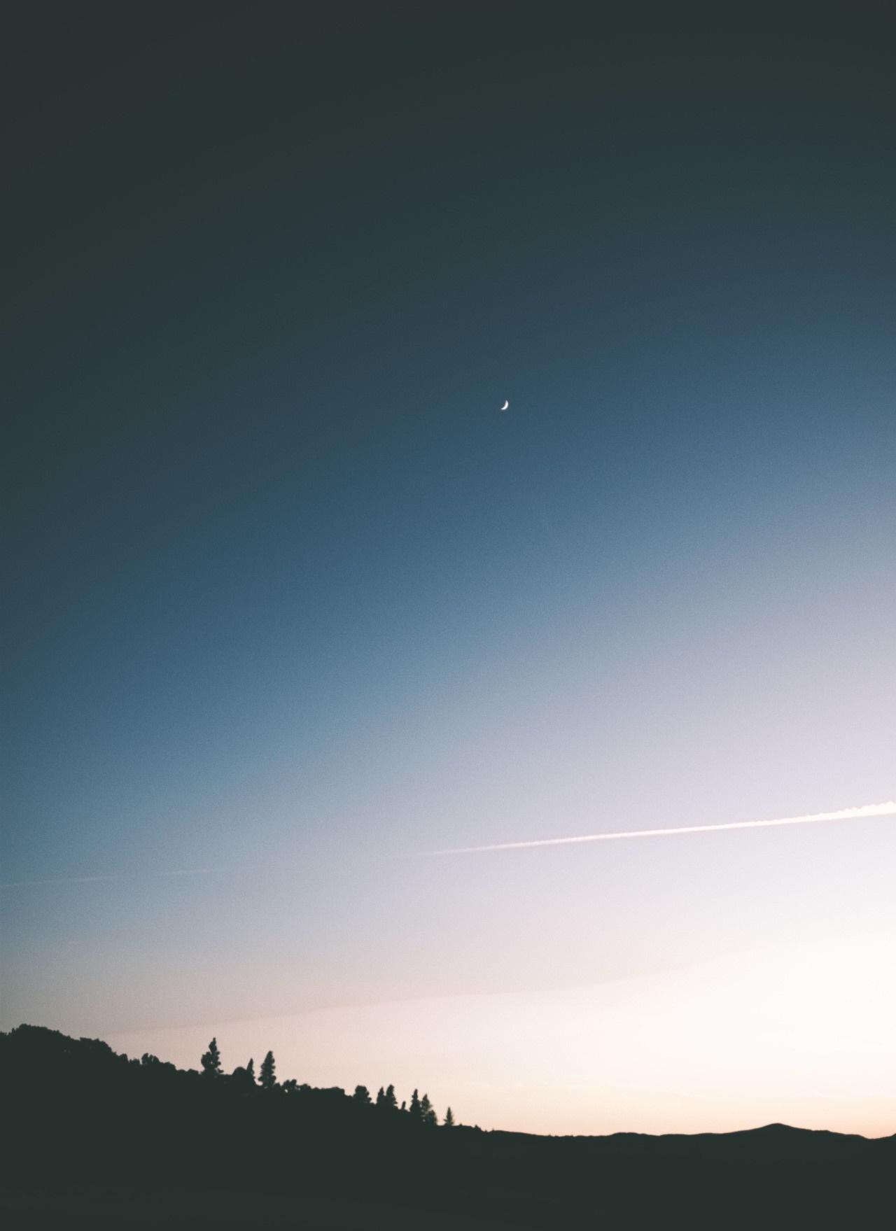 Crescent moon in the sky over silhouetted trees HD Wallpaper
