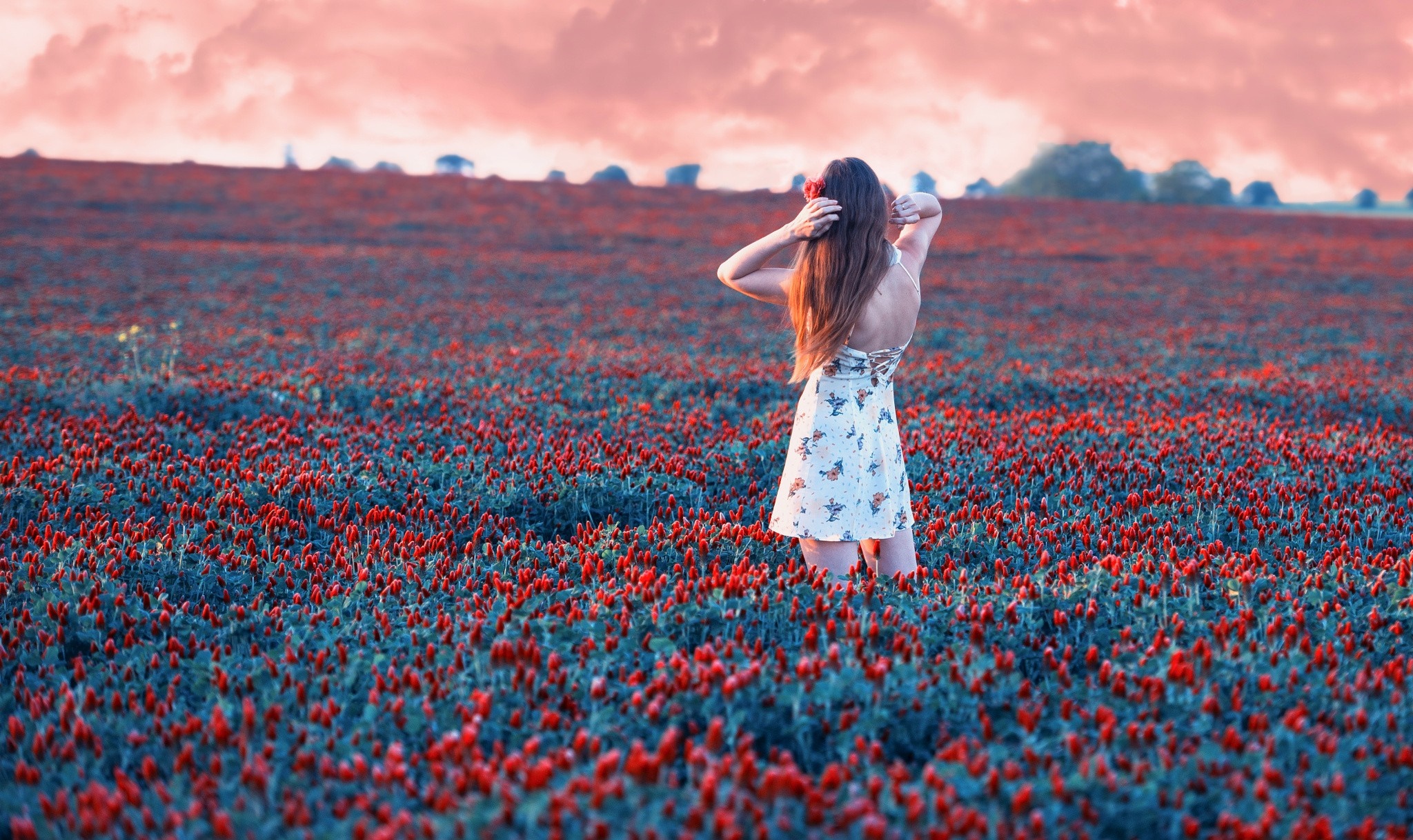 Woman in a flower field at sunset HD Wallpaper